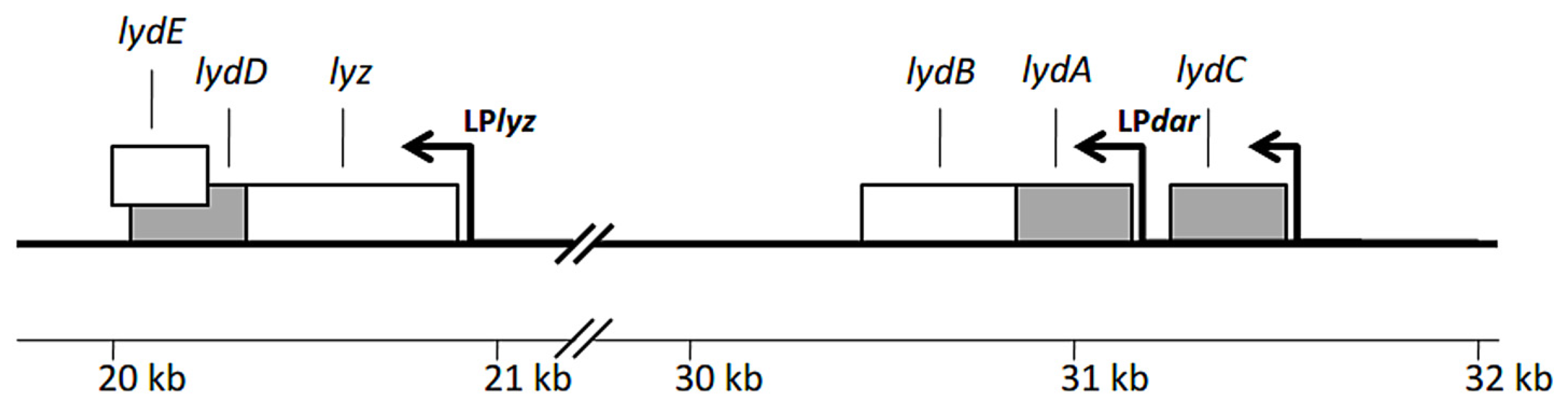 Ijms 23 04231 g002 Ijms 23 04231 g002