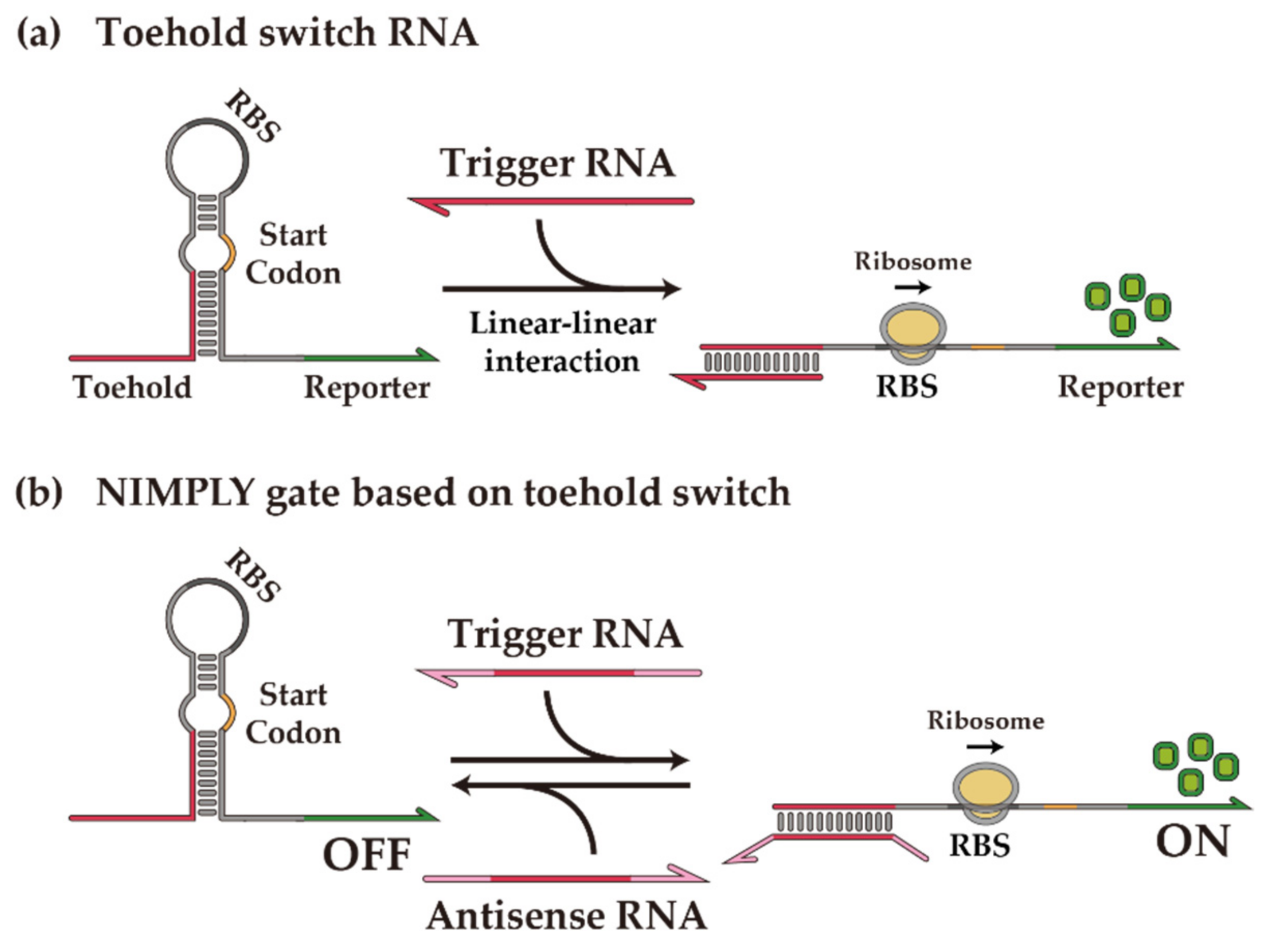 Ijms 23 04265 g001 Ijms 23 04265 g001