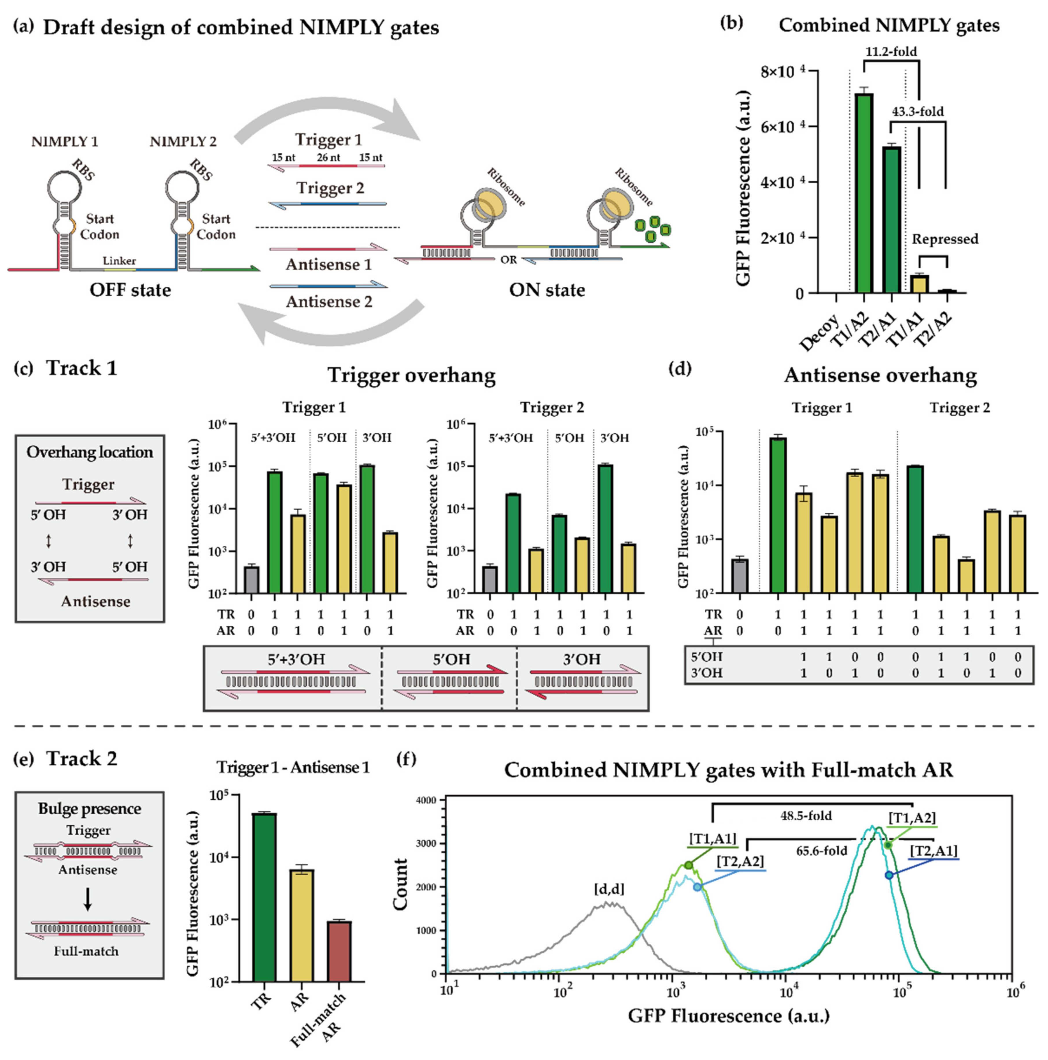 Ijms 23 04265 g002 Ijms 23 04265 g002