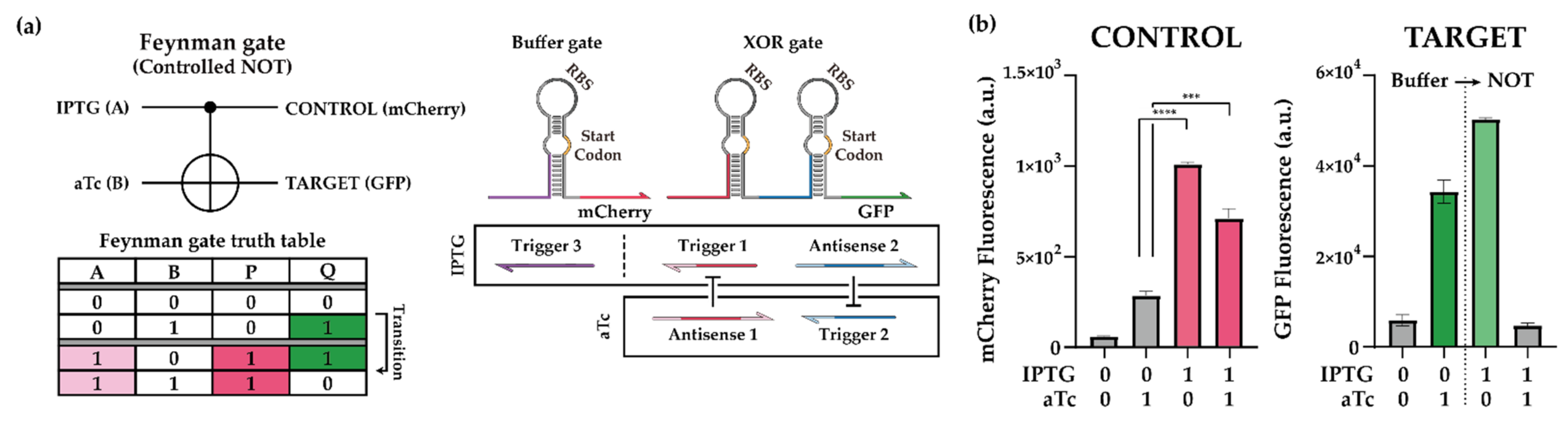 Ijms 23 04265 g005 Ijms 23 04265 g005