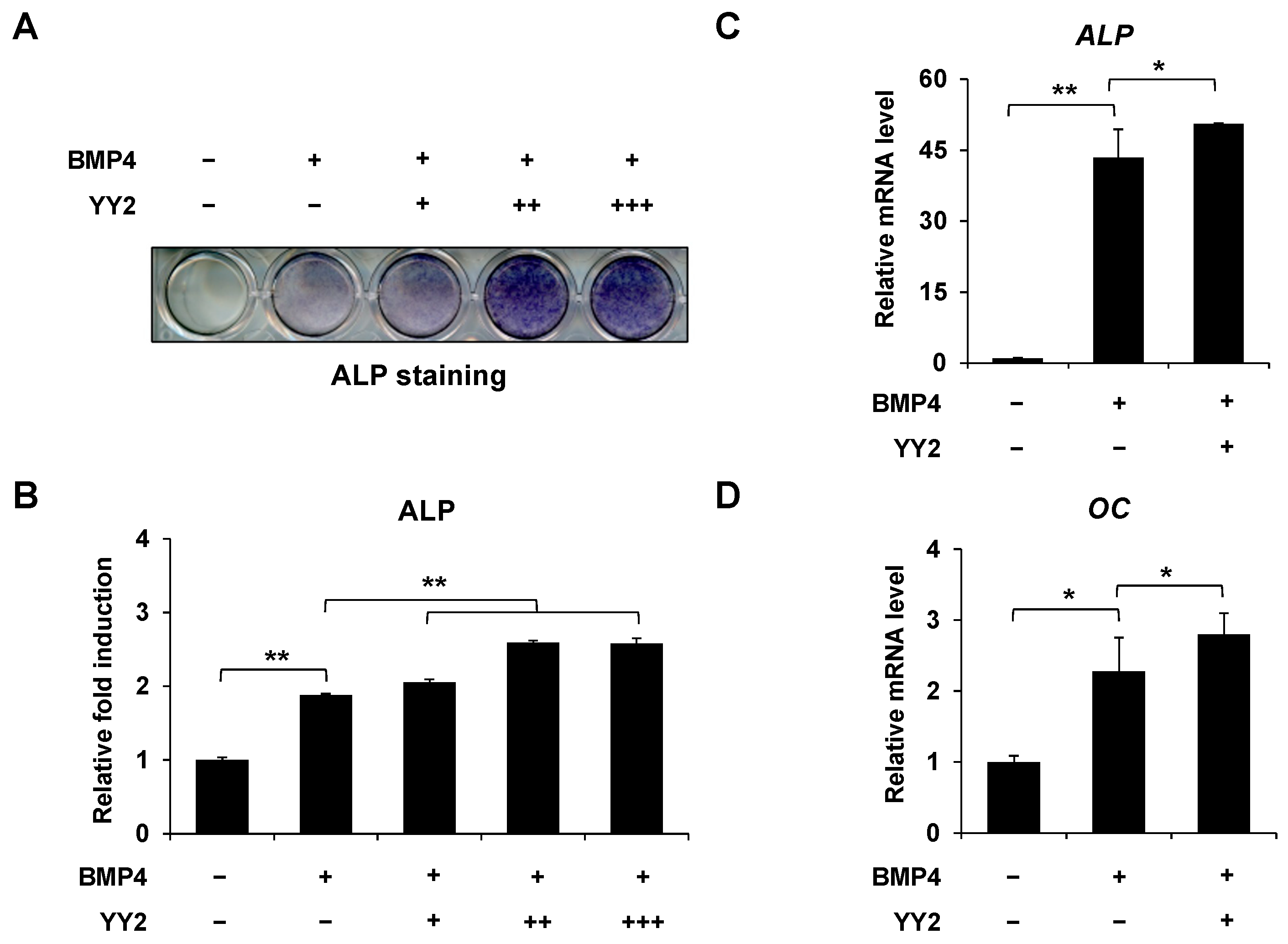 Ijms 23 04303 g001 Ijms 23 04303 g001
