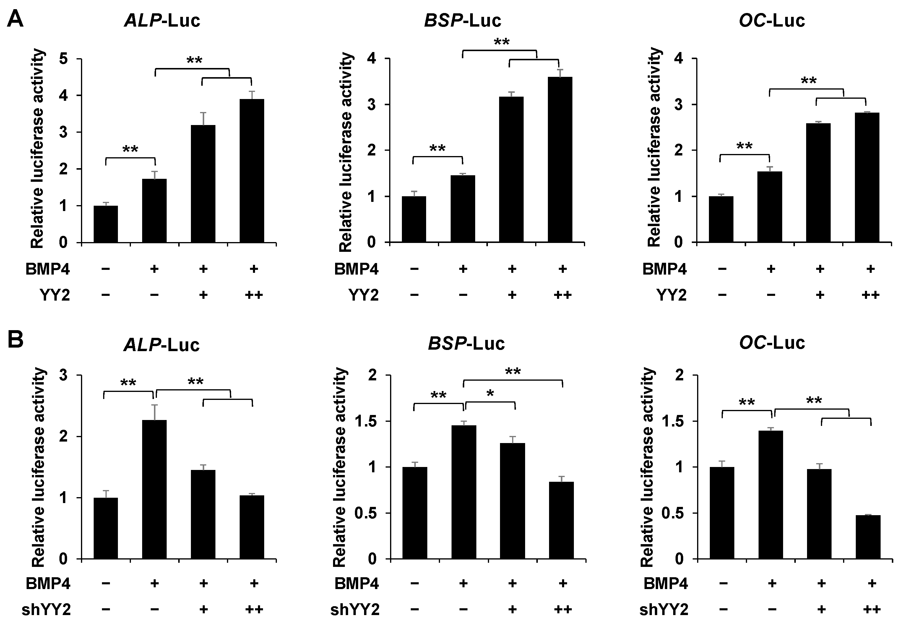 Ijms 23 04303 g003 Ijms 23 04303 g003