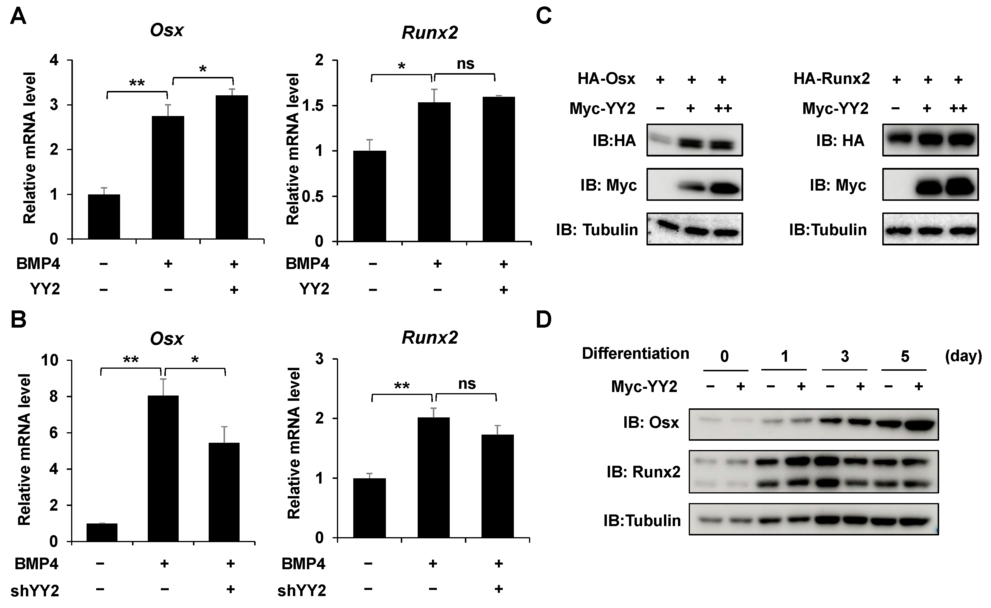 Ijms 23 04303 g004 Ijms 23 04303 g004