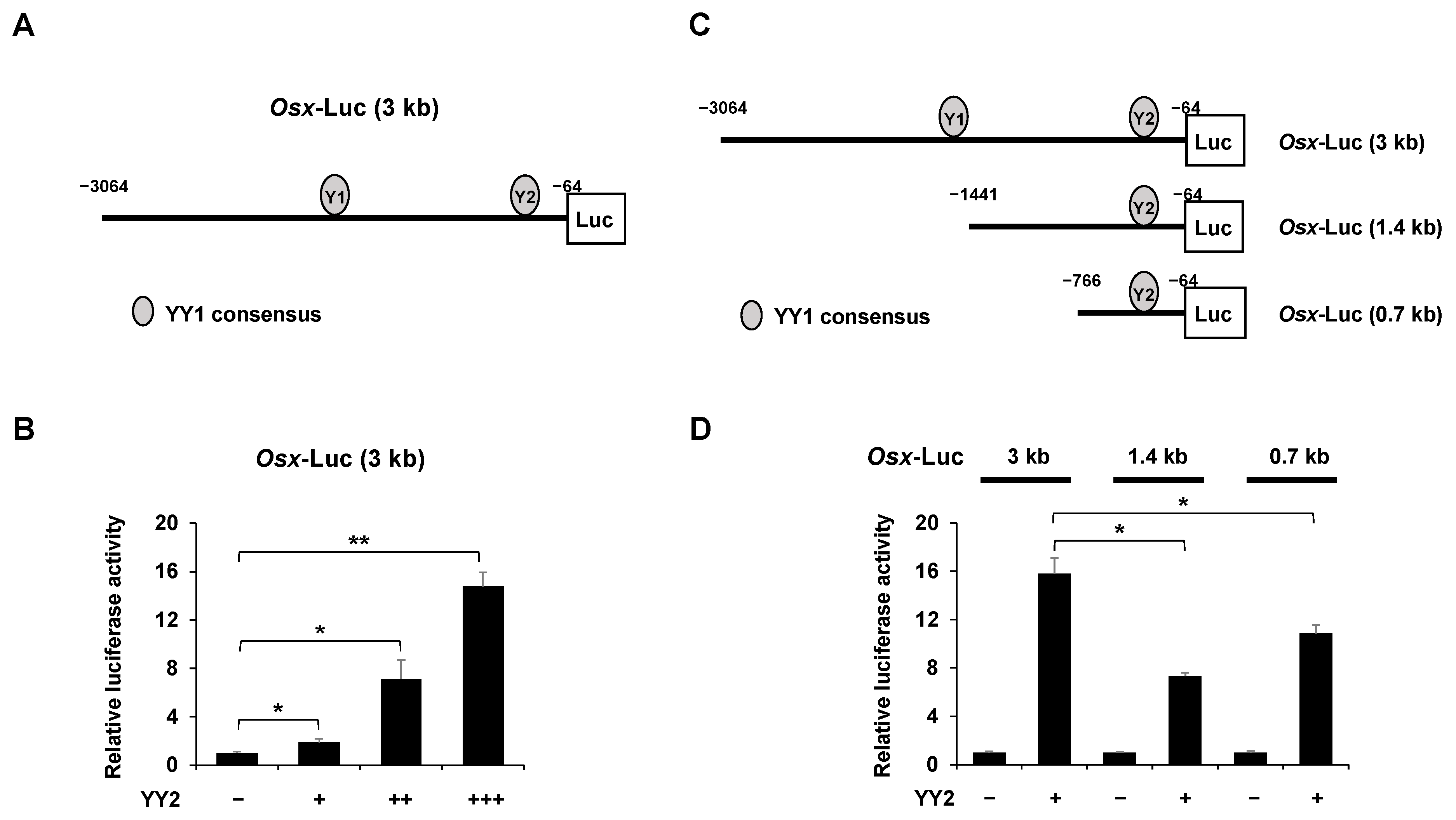 Ijms 23 04303 g005 Ijms 23 04303 g005