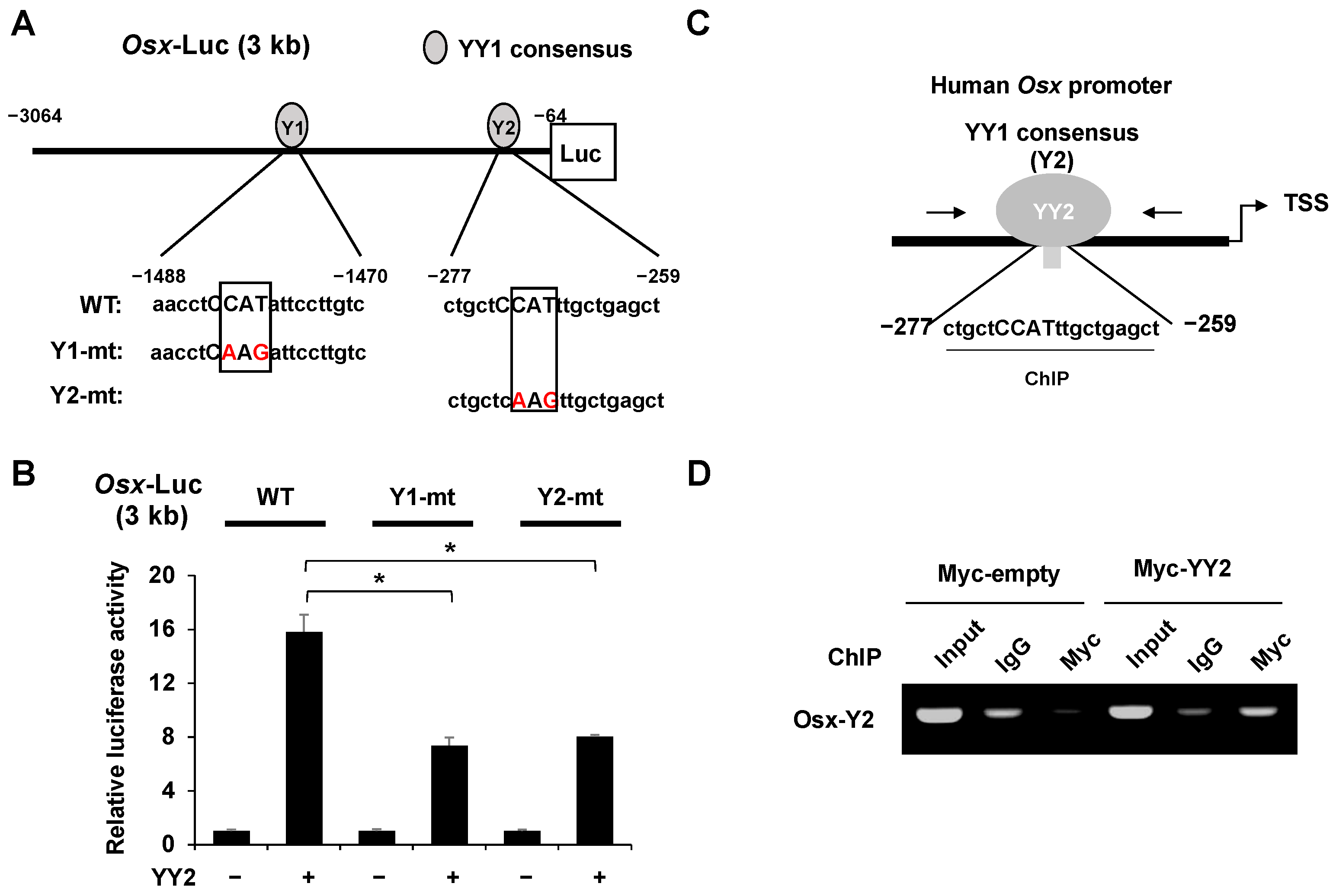 Ijms 23 04303 g006 Ijms 23 04303 g006