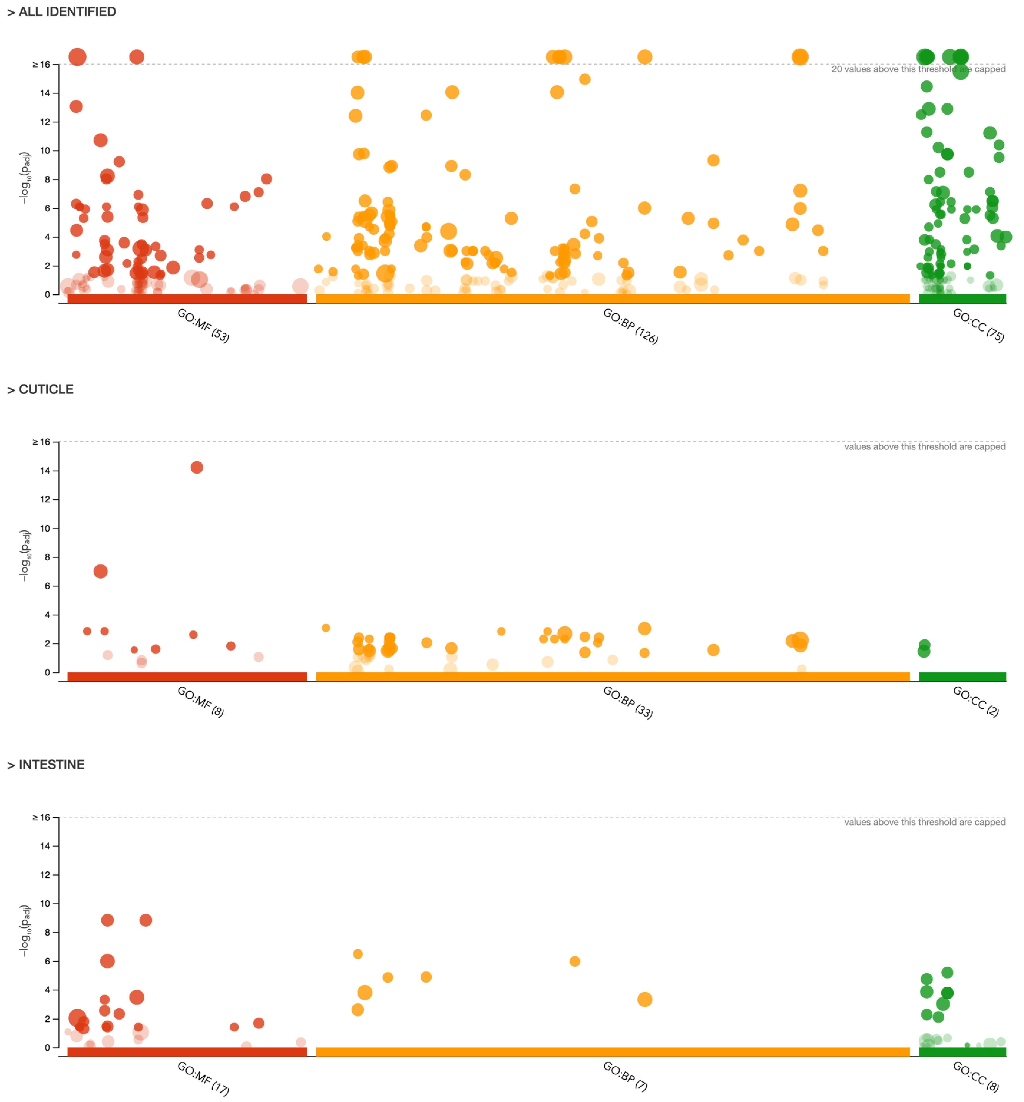 Ijms 23 04336 g003 Ijms 23 04336 g003