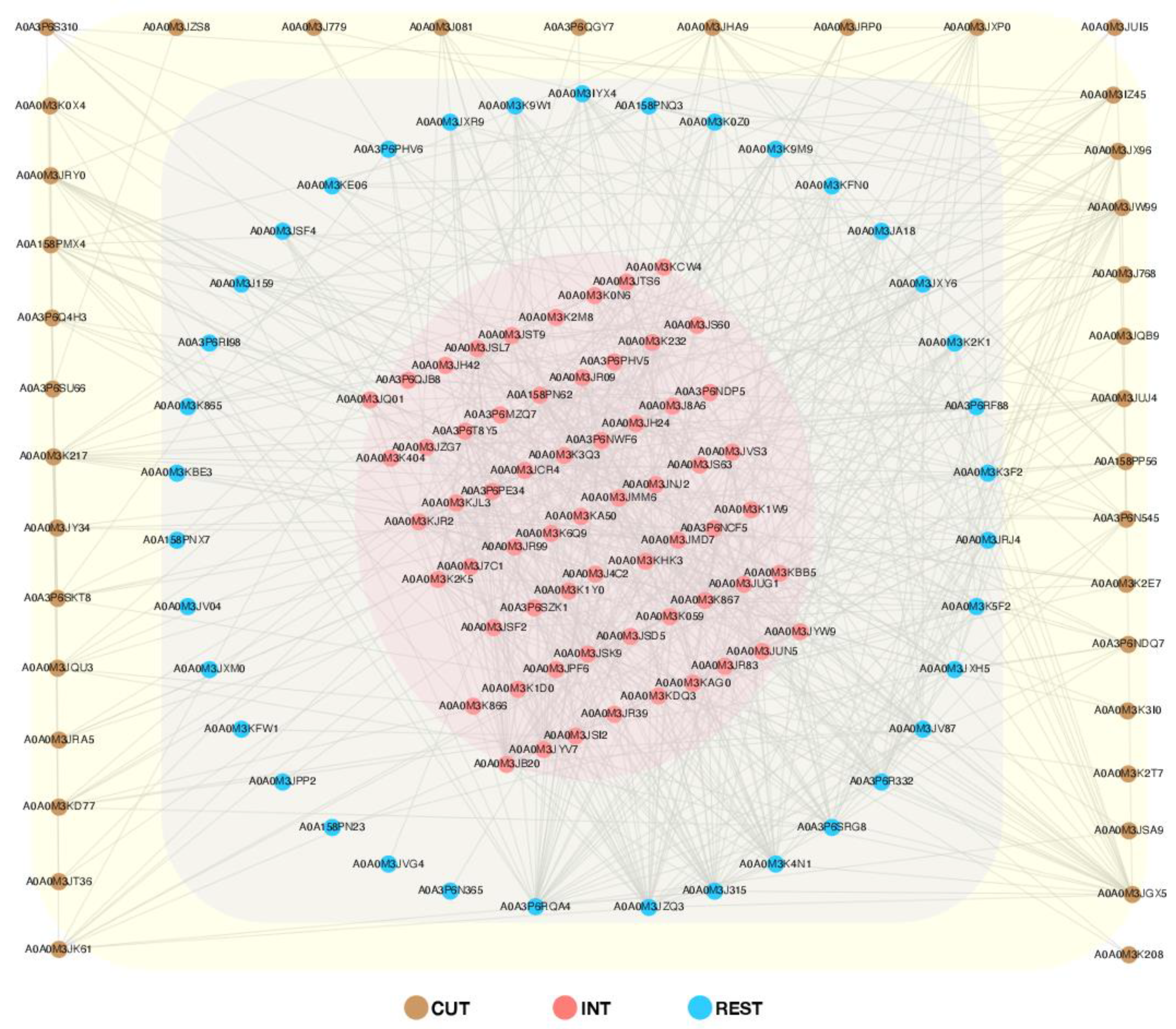 Ijms 23 04336 g006 Ijms 23 04336 g006