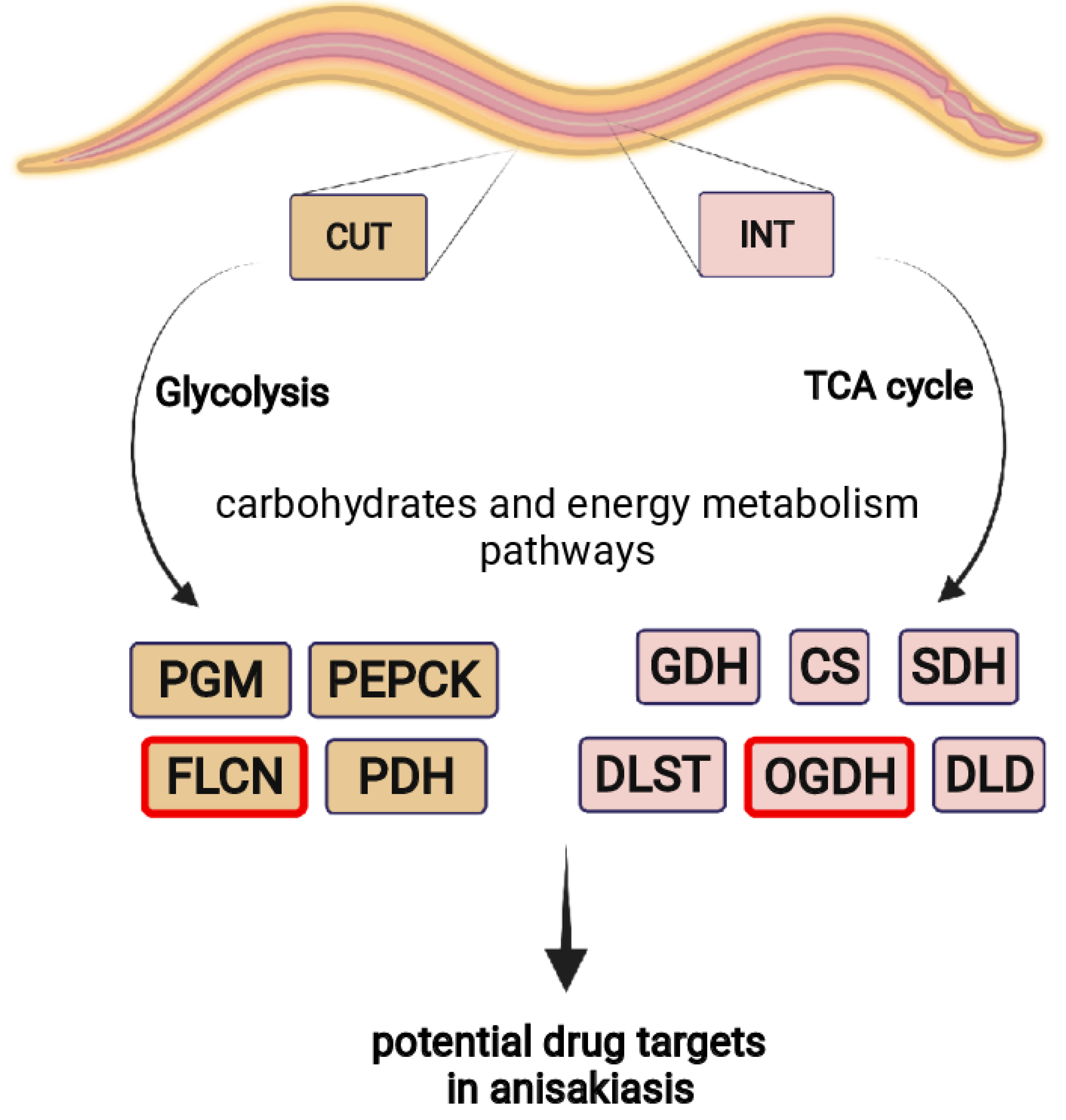 Ijms 23 04336 g008 Ijms 23 04336 g008