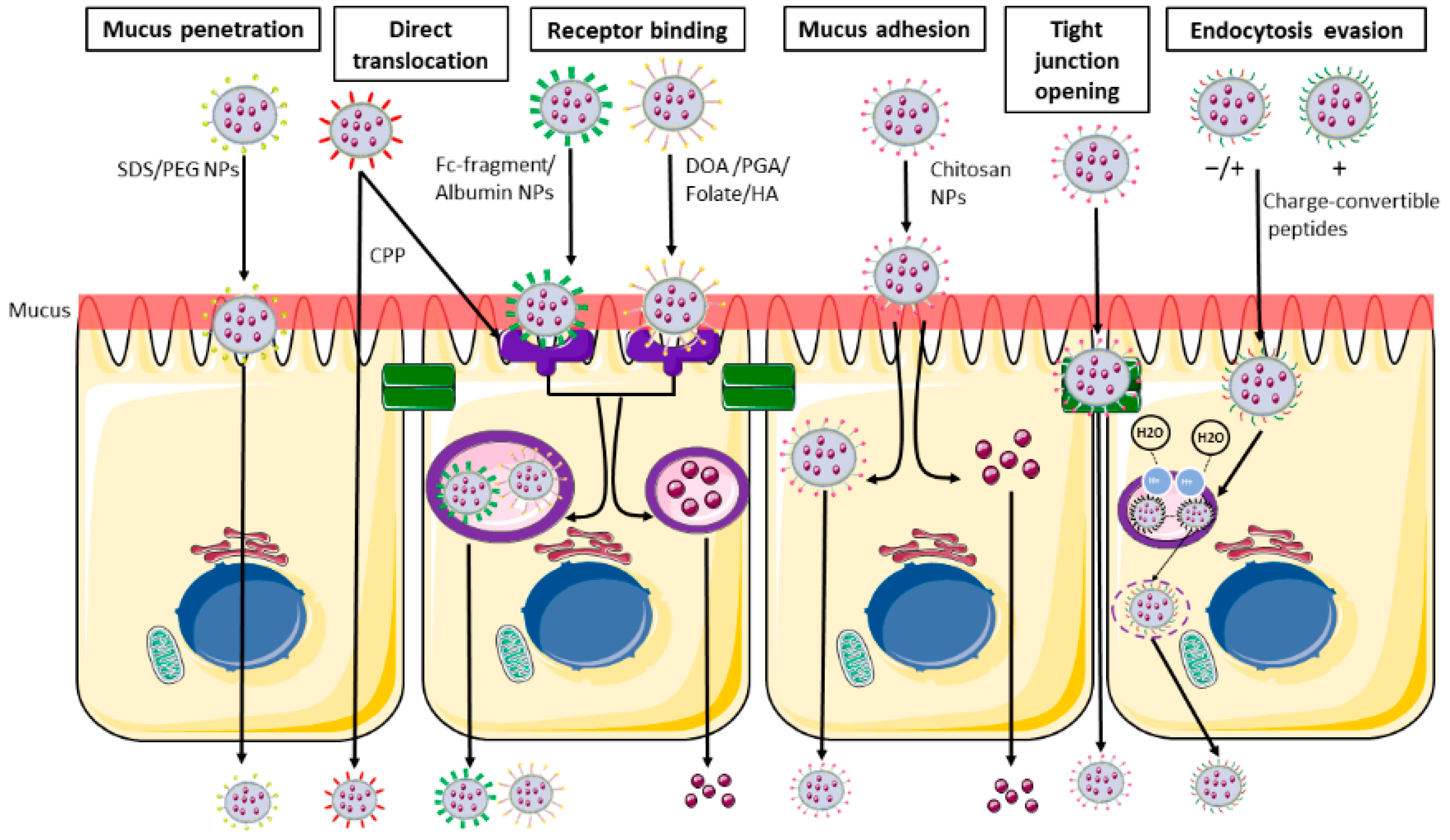 Ijms 23 04339 g003 Ijms 23 04339 g003