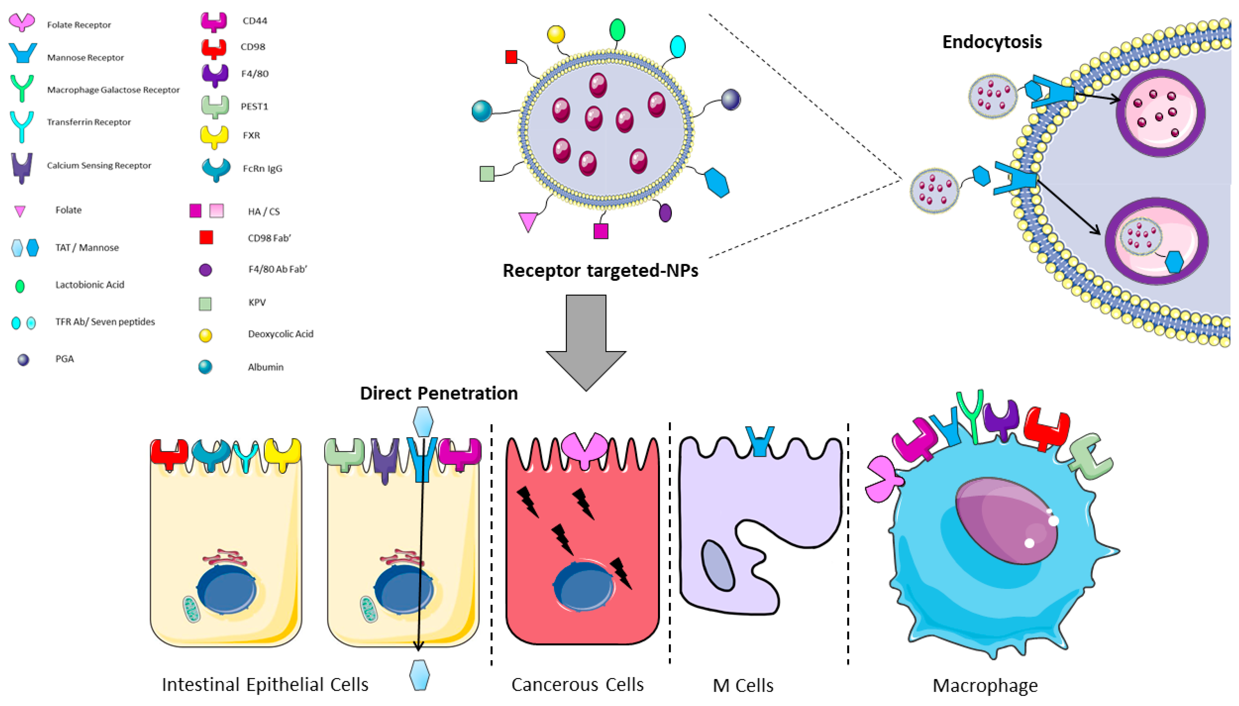 Ijms 23 04339 g004 Ijms 23 04339 g004