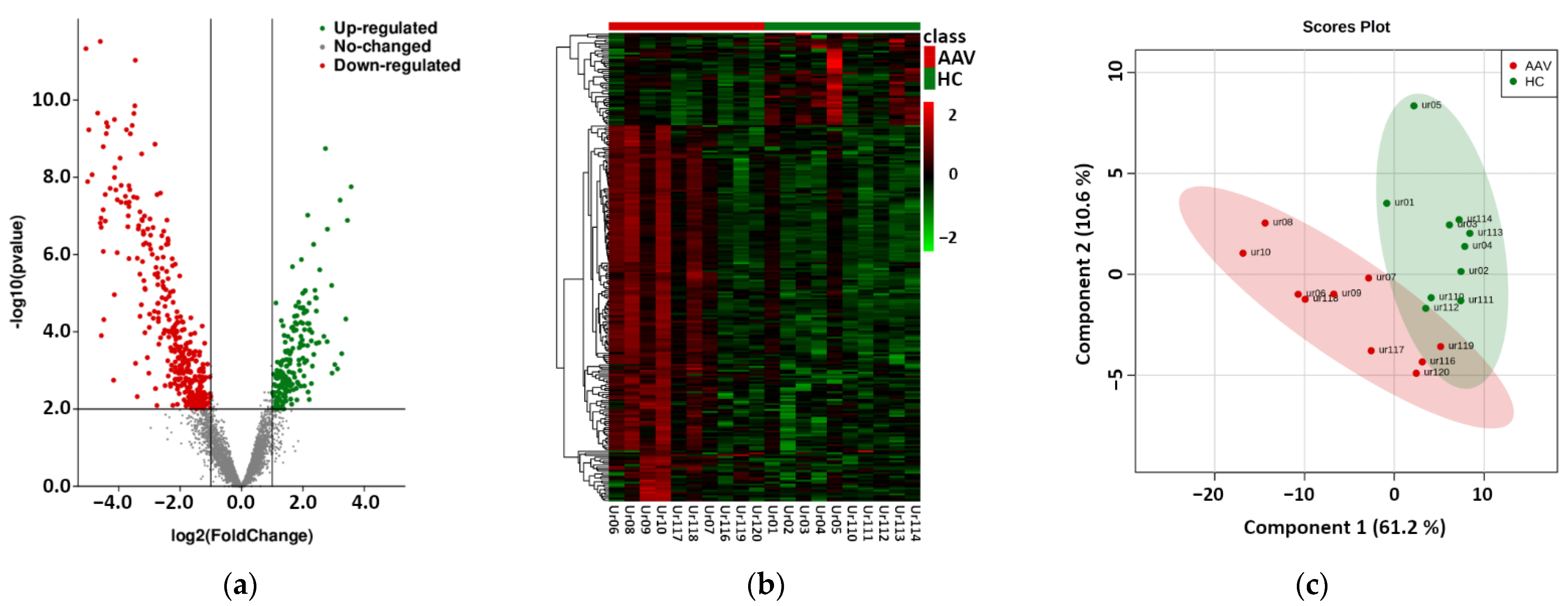 Ijms 23 04344 g001 Ijms 23 04344 g001