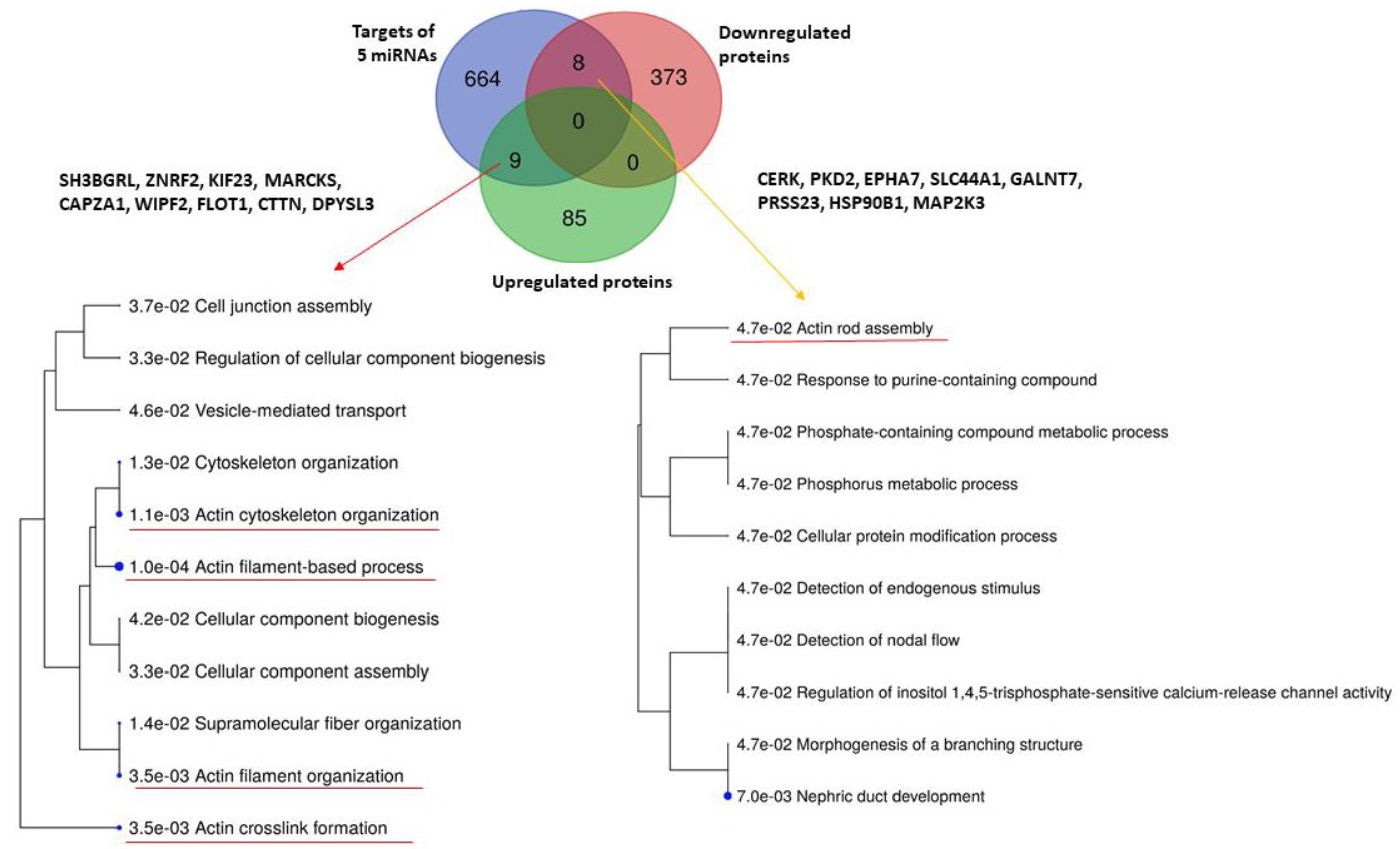 Ijms 23 04344 g004 Ijms 23 04344 g004