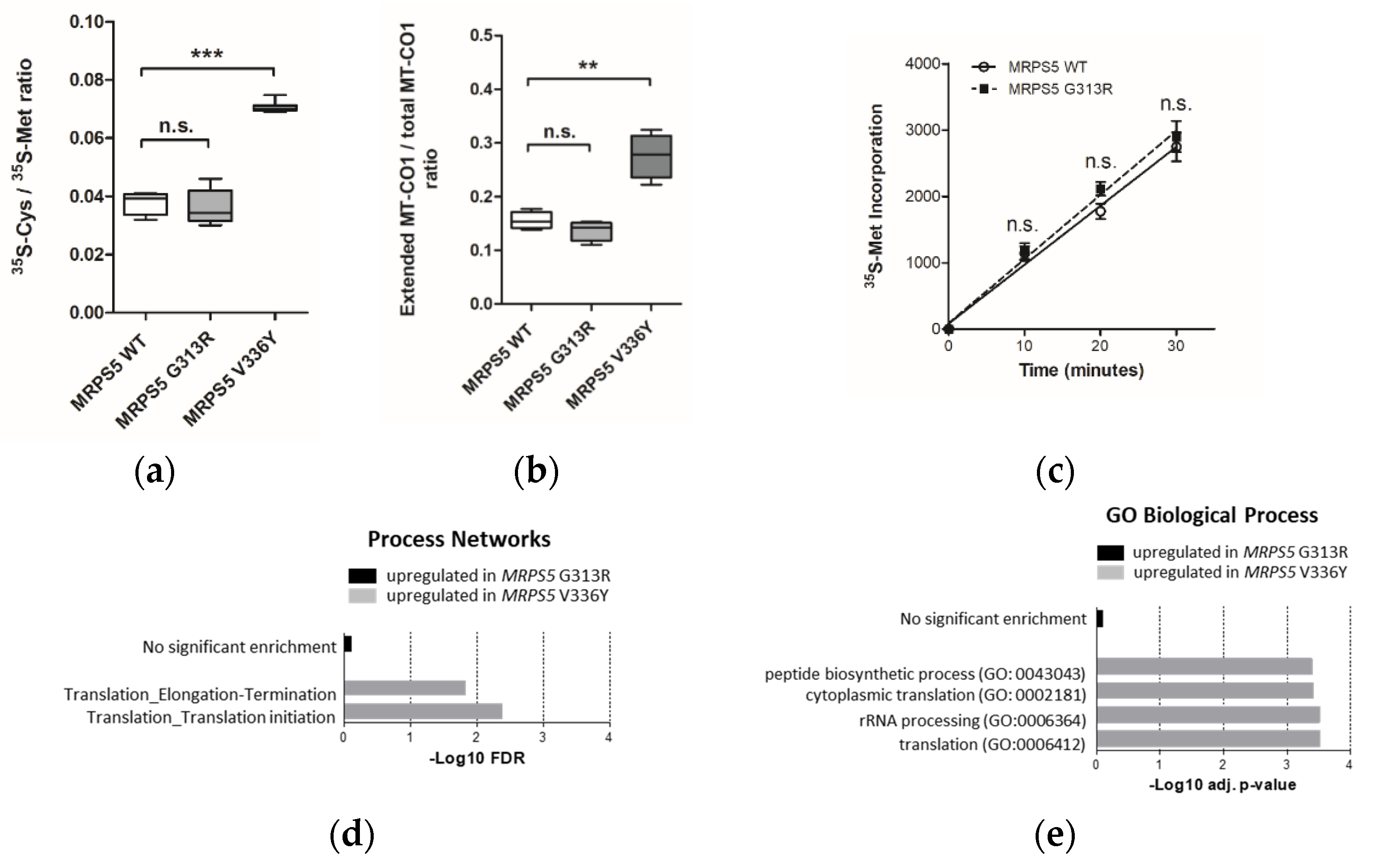 Ijms 23 04384 g002 Ijms 23 04384 g002
