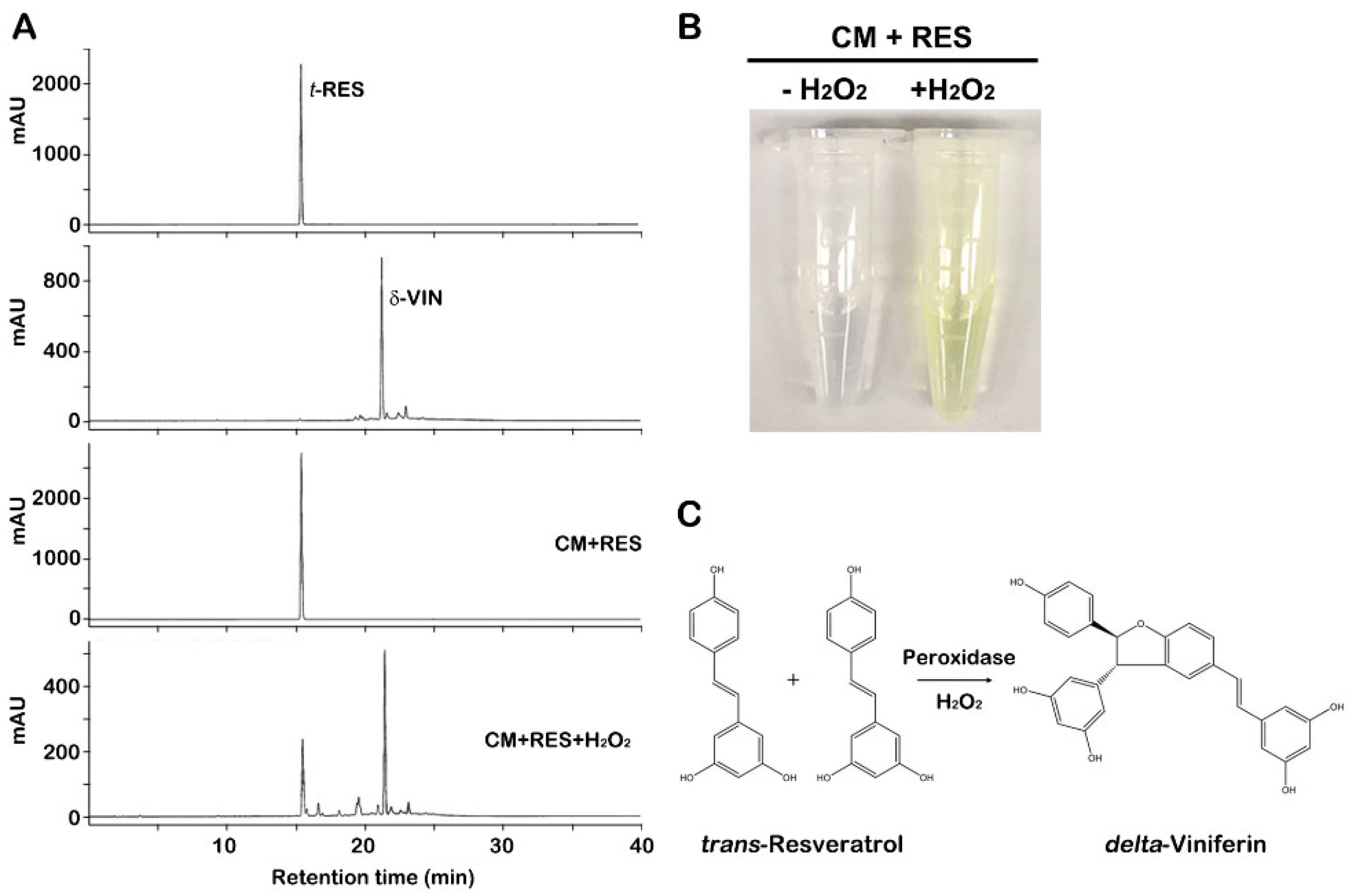 Ijms 23 04403 g001 Ijms 23 04403 g001