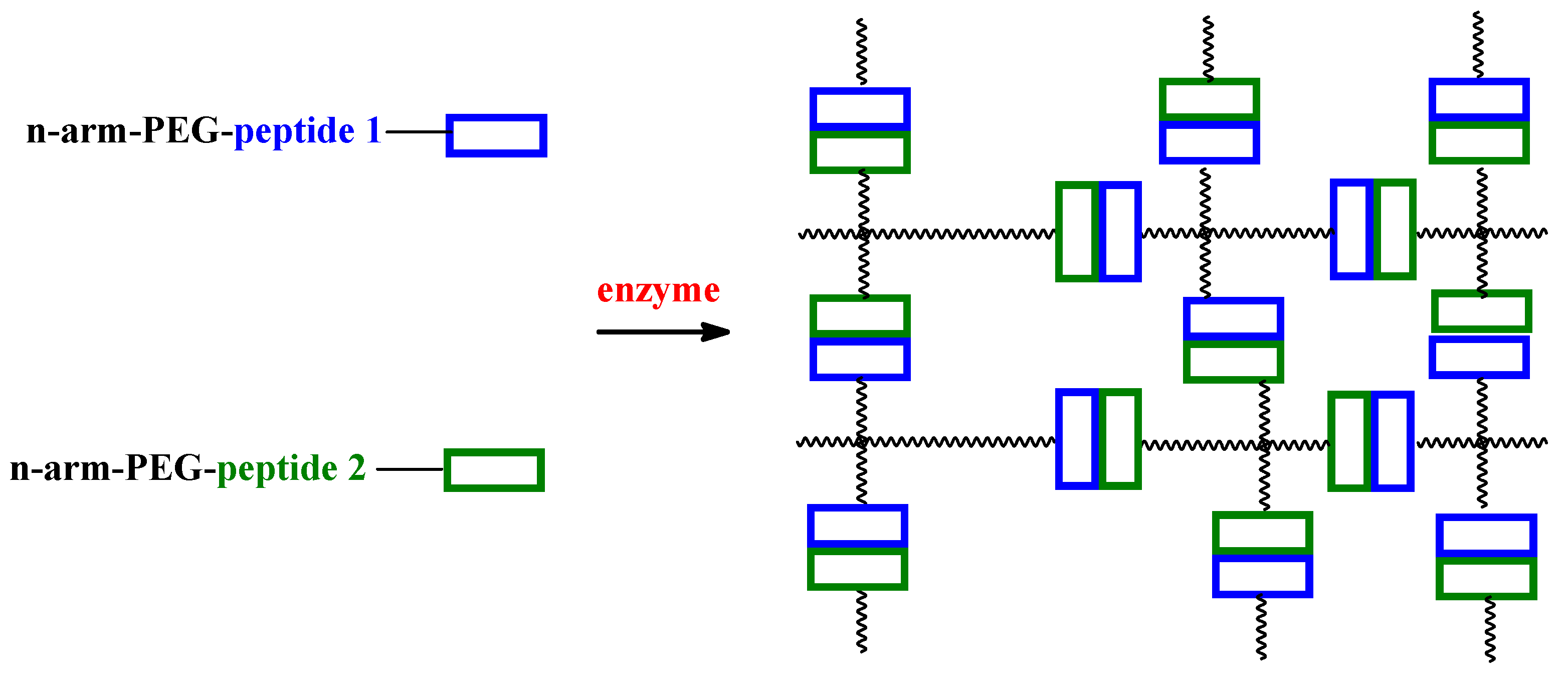 Ijms 23 04421 g004