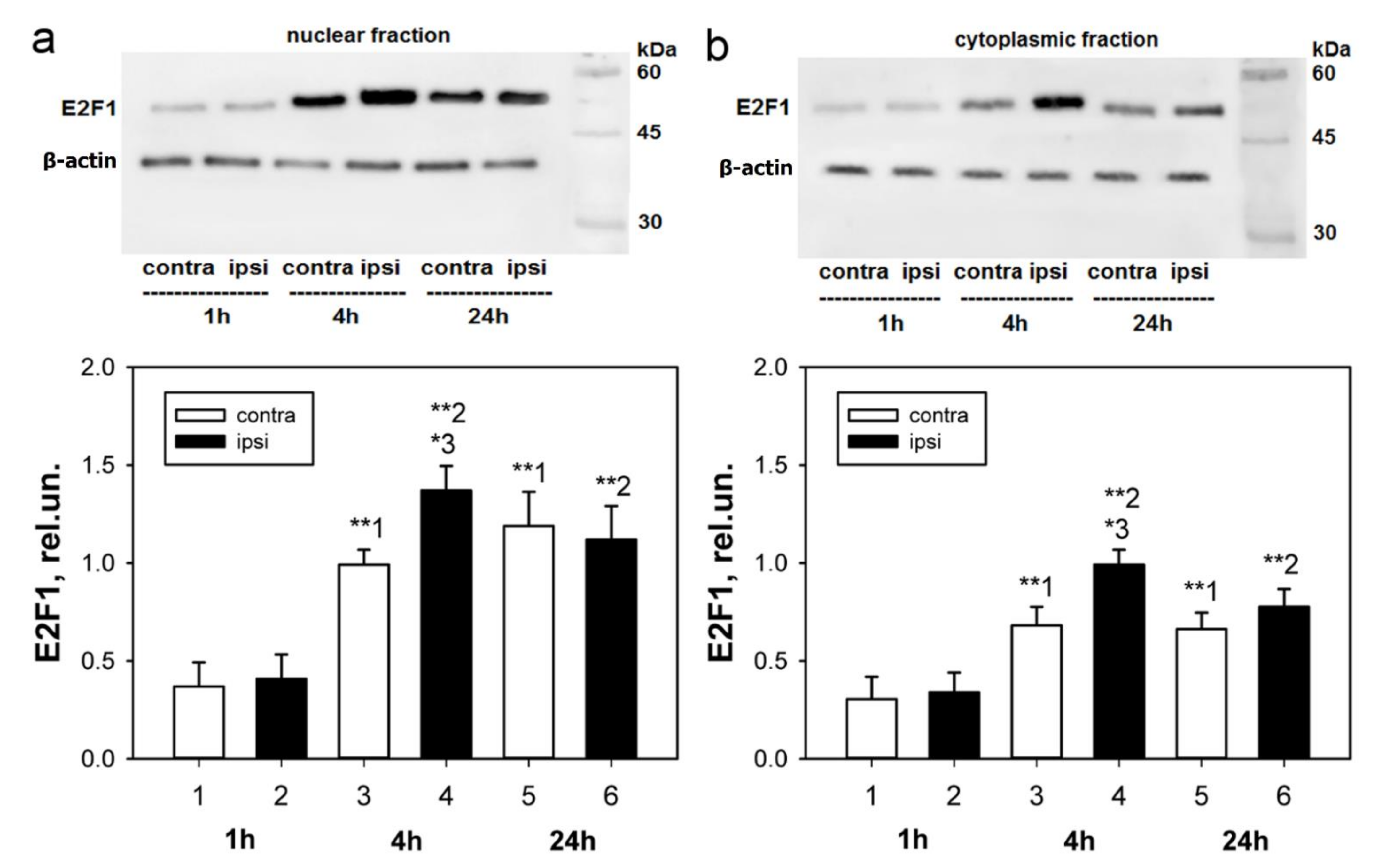 Ijms 23 04451 g001 Ijms 23 04451 g001
