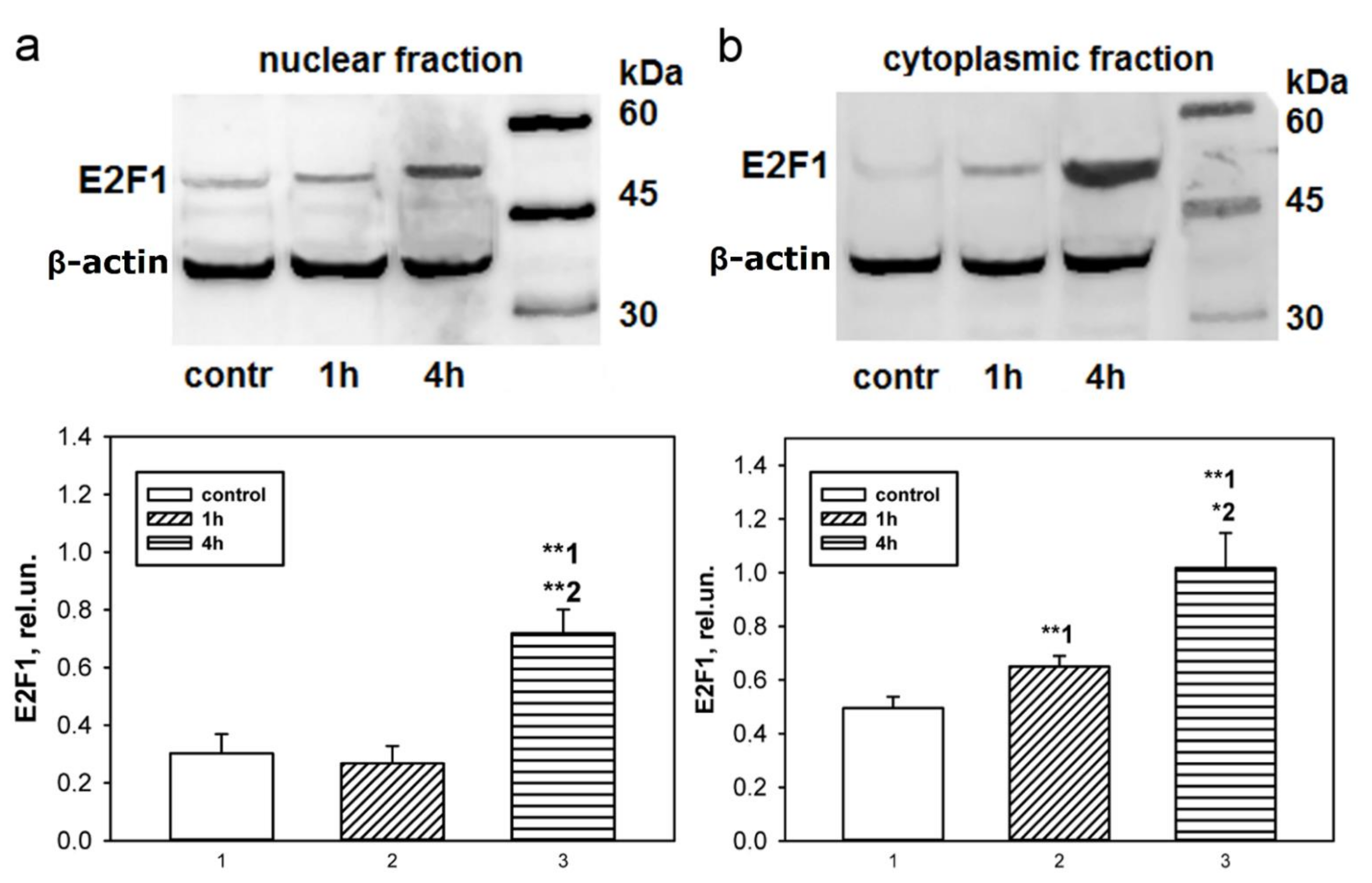 Ijms 23 04451 g002 Ijms 23 04451 g002