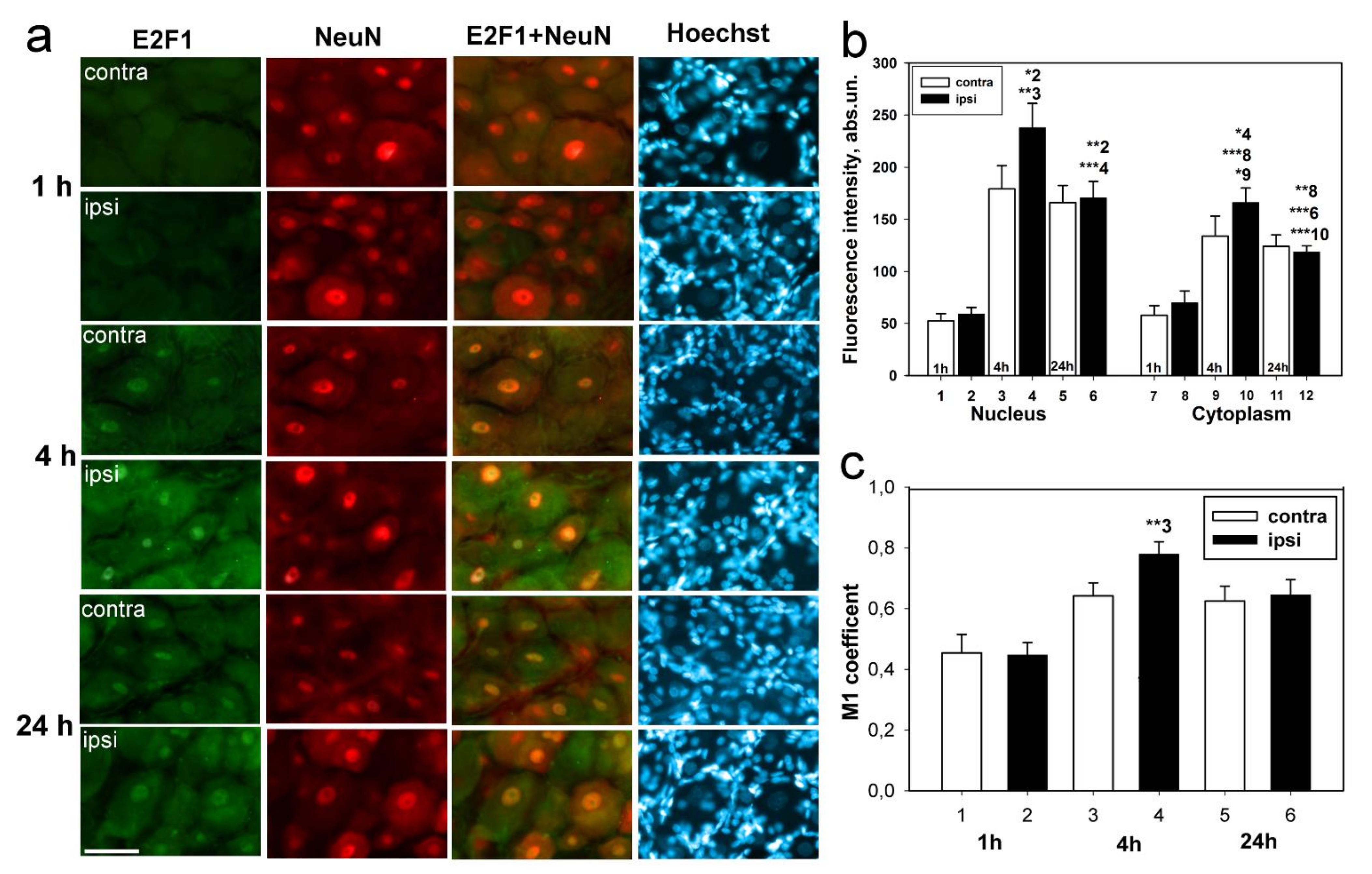 Ijms 23 04451 g003 Ijms 23 04451 g003