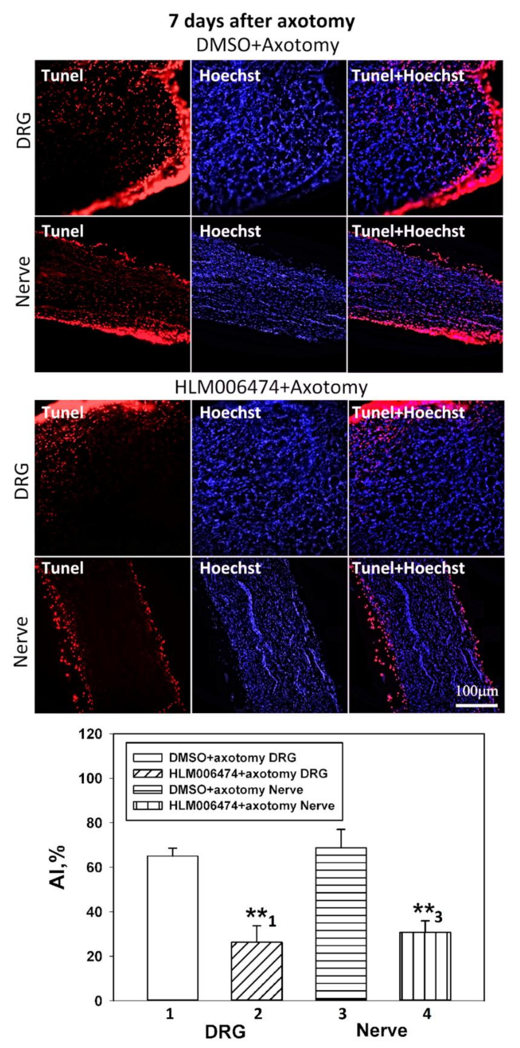 Ijms 23 04451 g007 Ijms 23 04451 g007