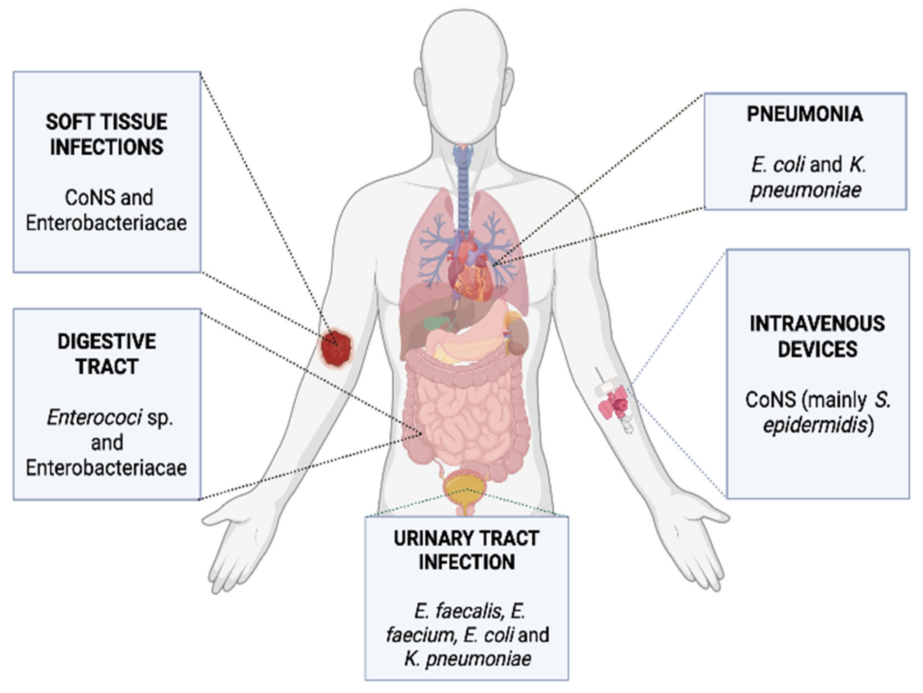 Ijms 23 04484 g001 Ijms 23 04484 g001