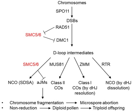 Ijms 23 04503 g001 550
