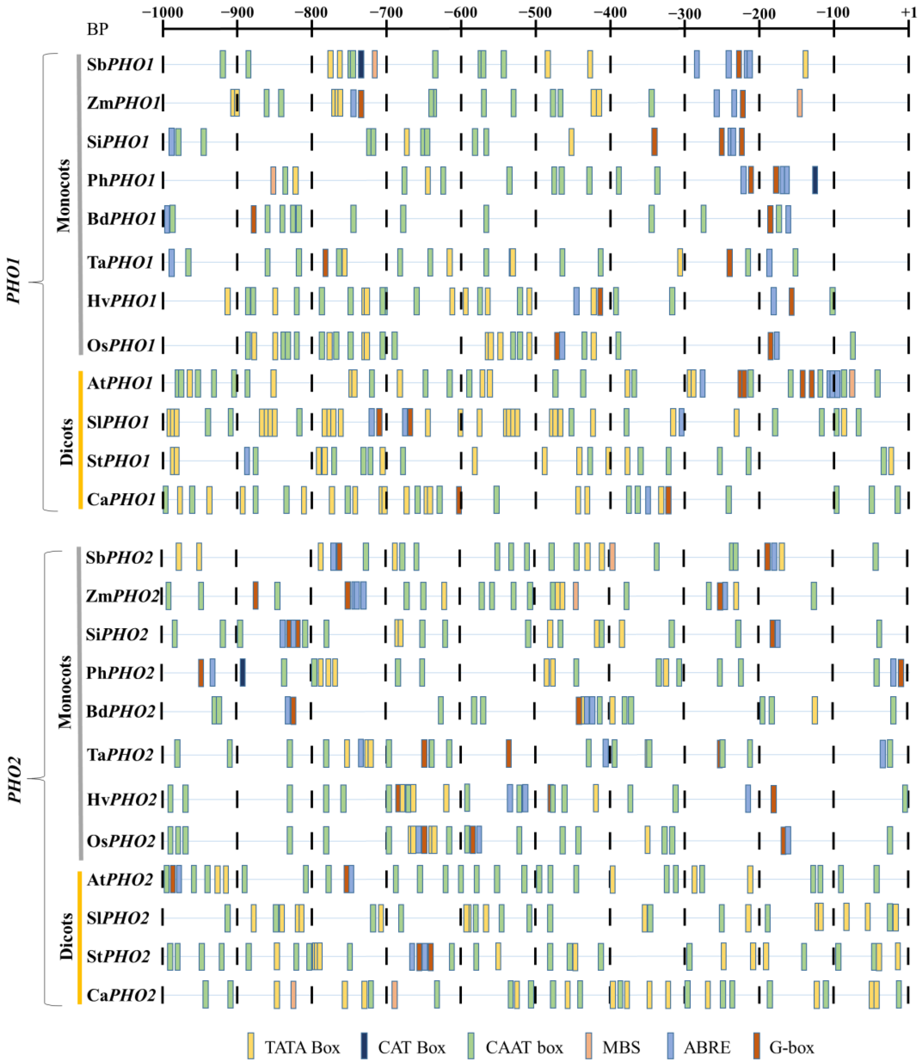 Ijms 23 04518 g003 Ijms 23 04518 g003