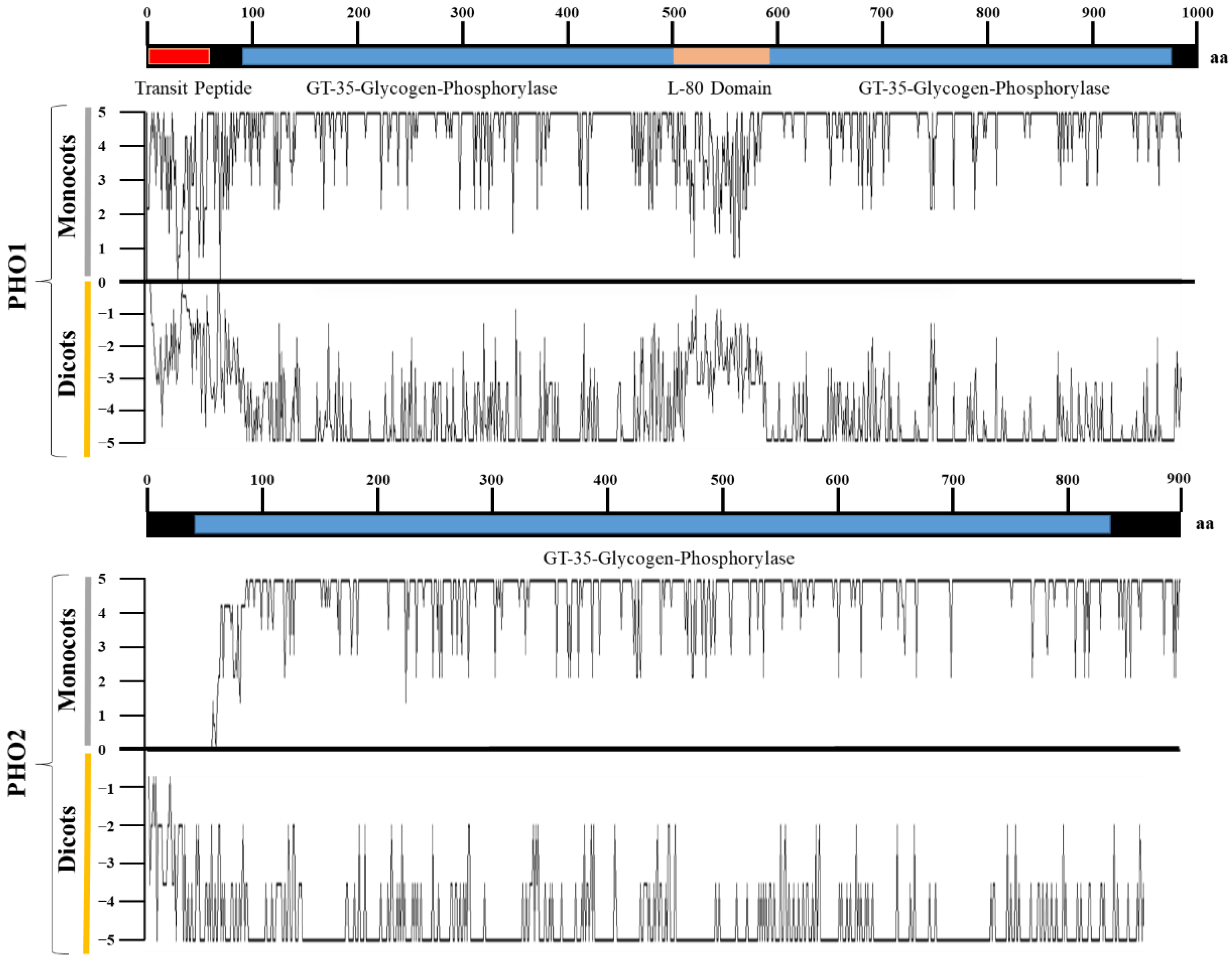 Ijms 23 04518 g004 Ijms 23 04518 g004