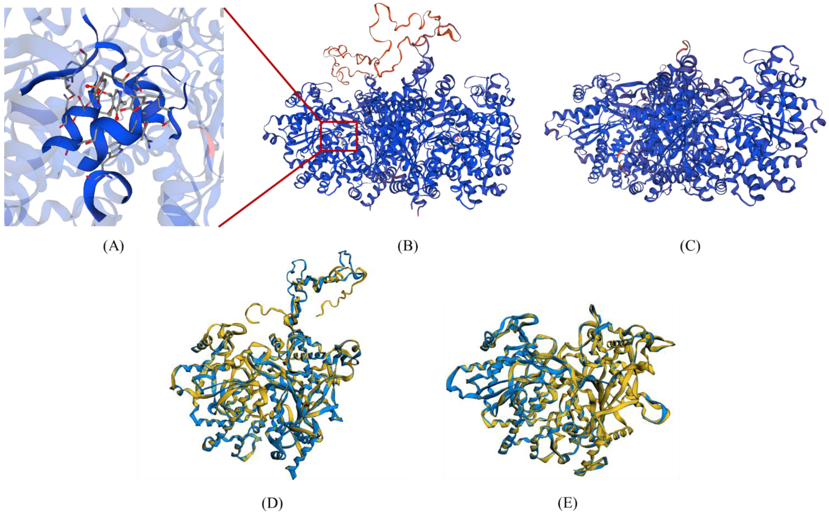 Ijms 23 04518 g005 Ijms 23 04518 g005