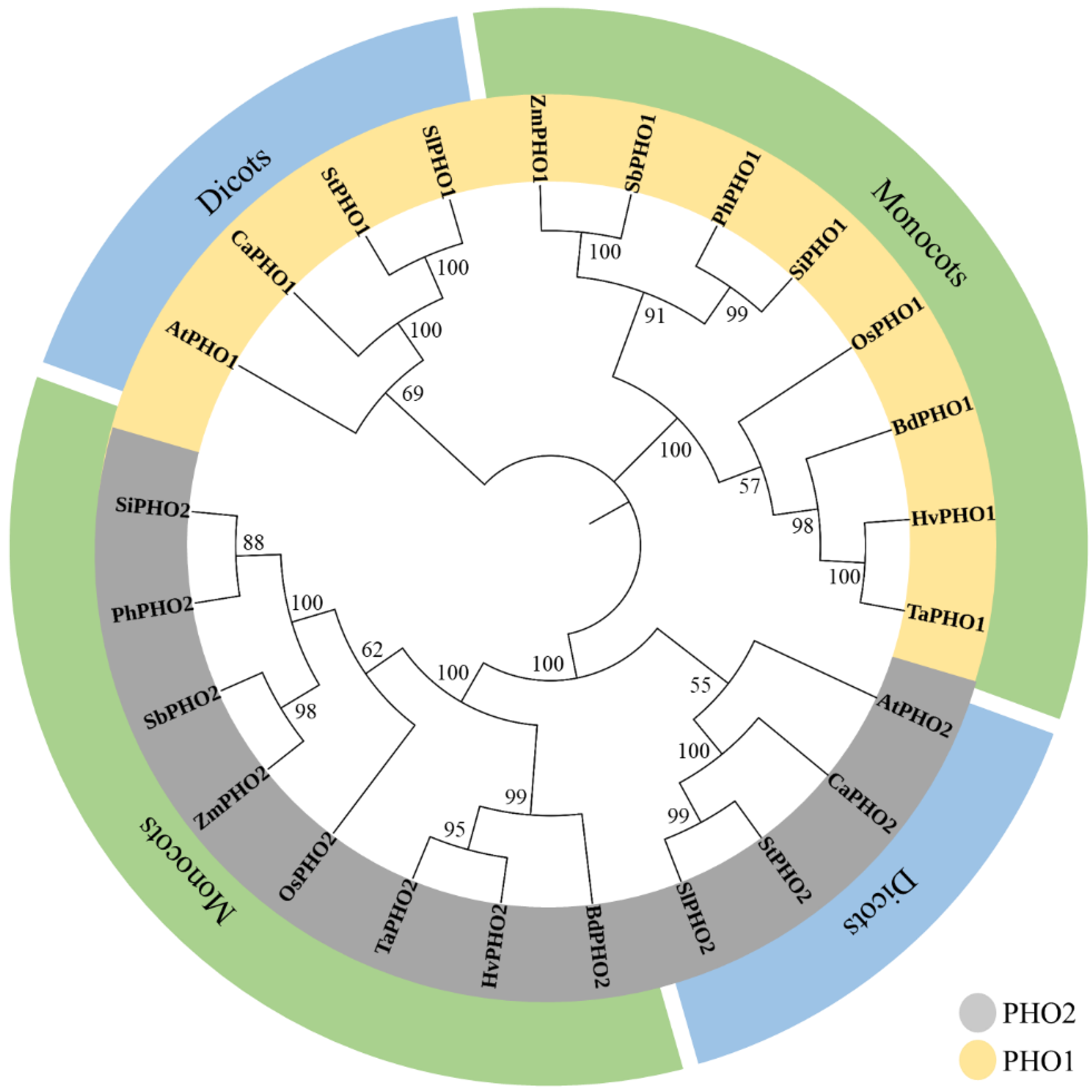 Ijms 23 04518 g006 Ijms 23 04518 g006
