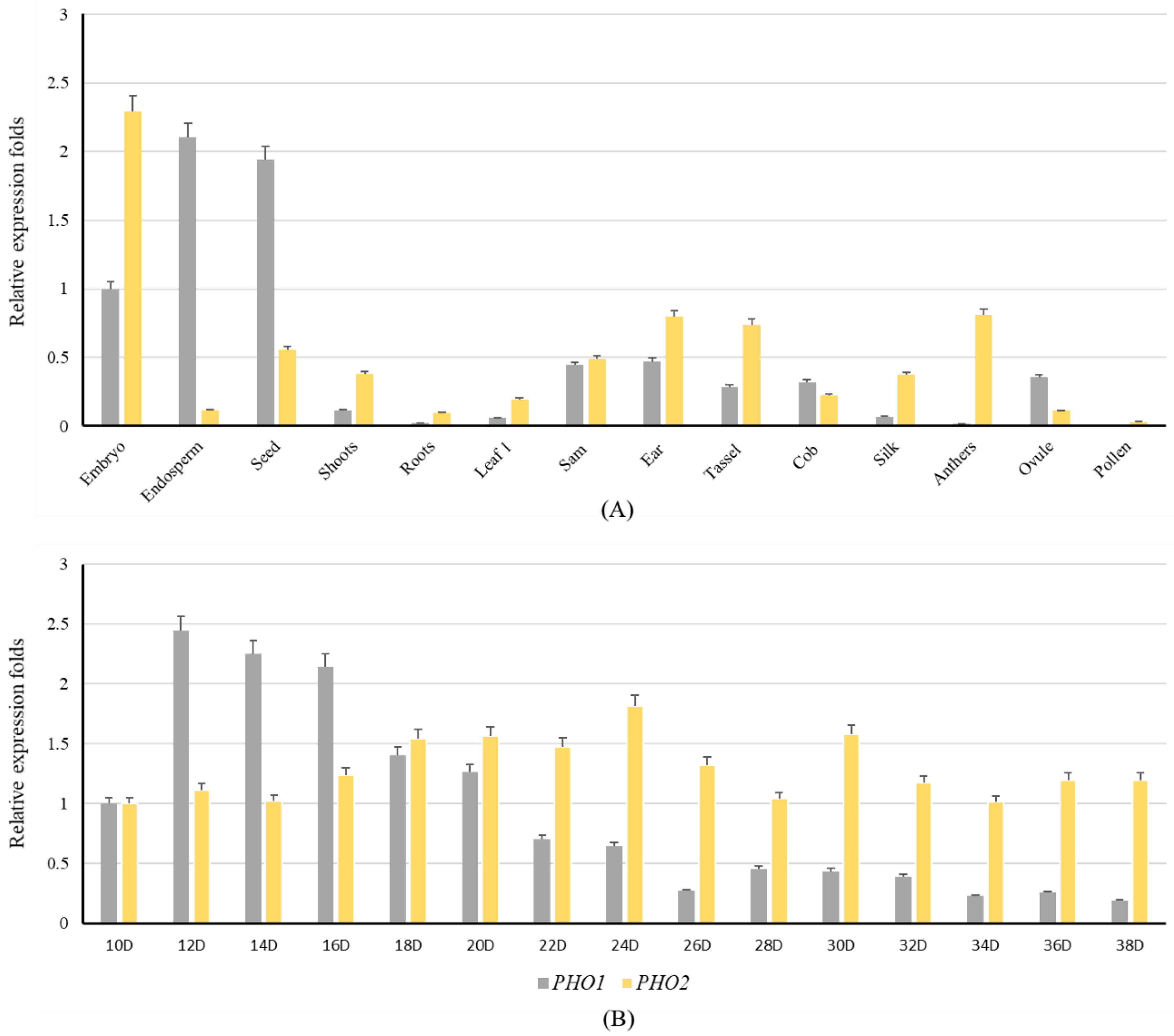 Ijms 23 04518 g007 Ijms 23 04518 g007