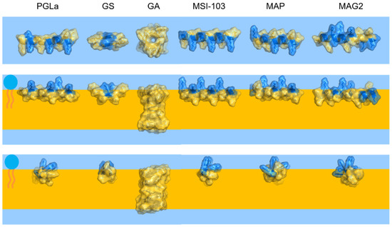 Ijms 23 04544 g0a3 550