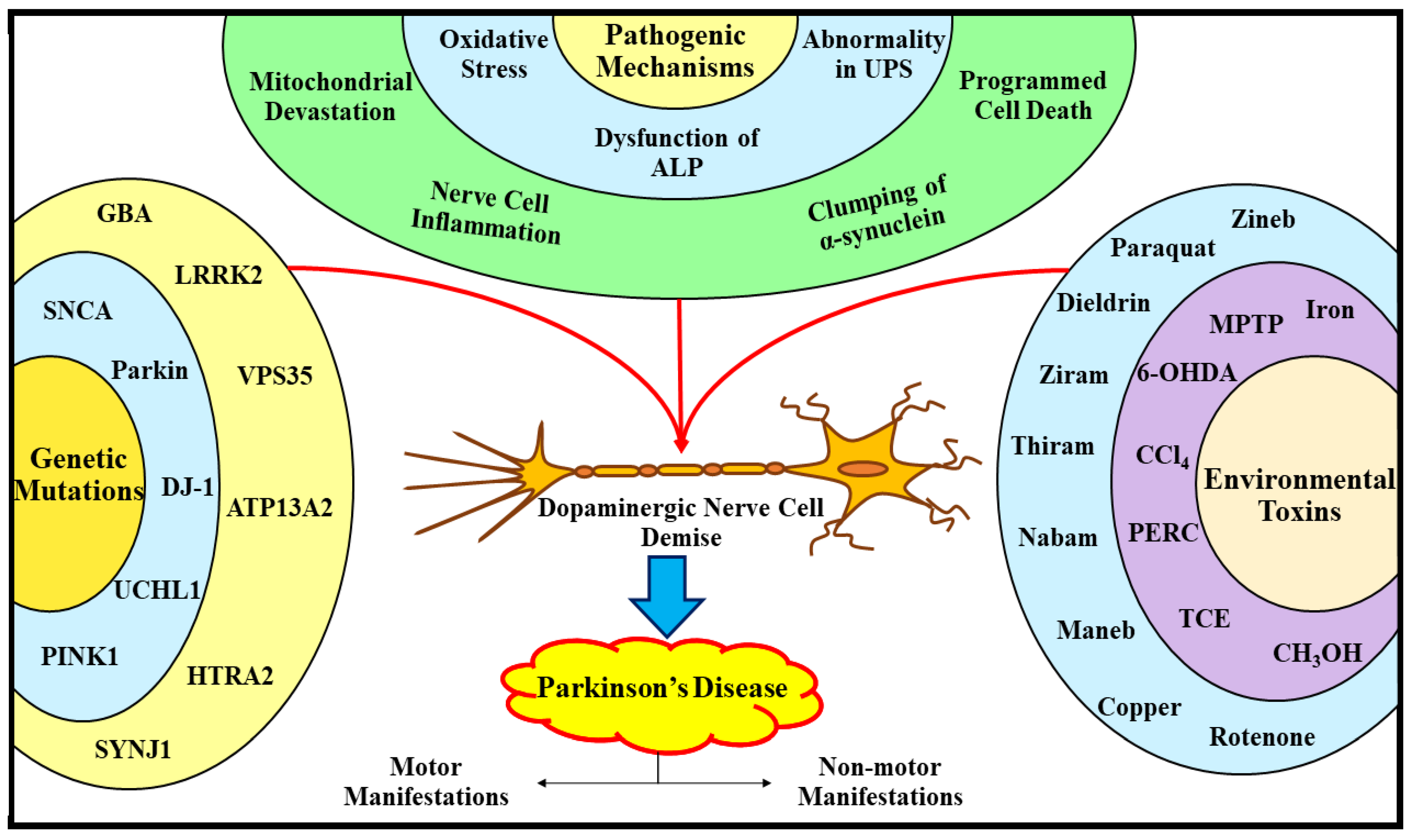 Ijms 23 04565 g002 Ijms 23 04565 g002