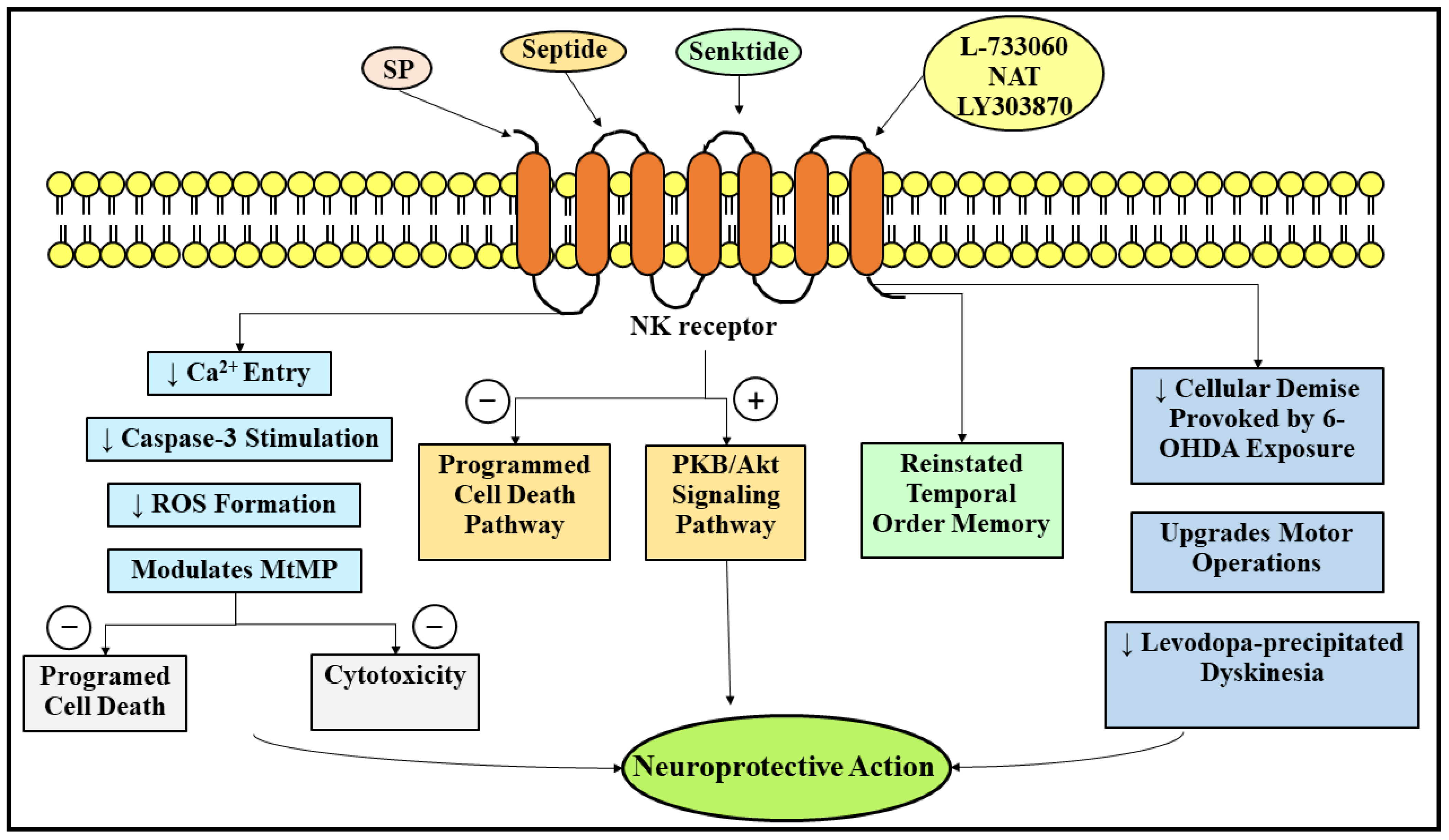 Ijms 23 04565 g004 Ijms 23 04565 g004