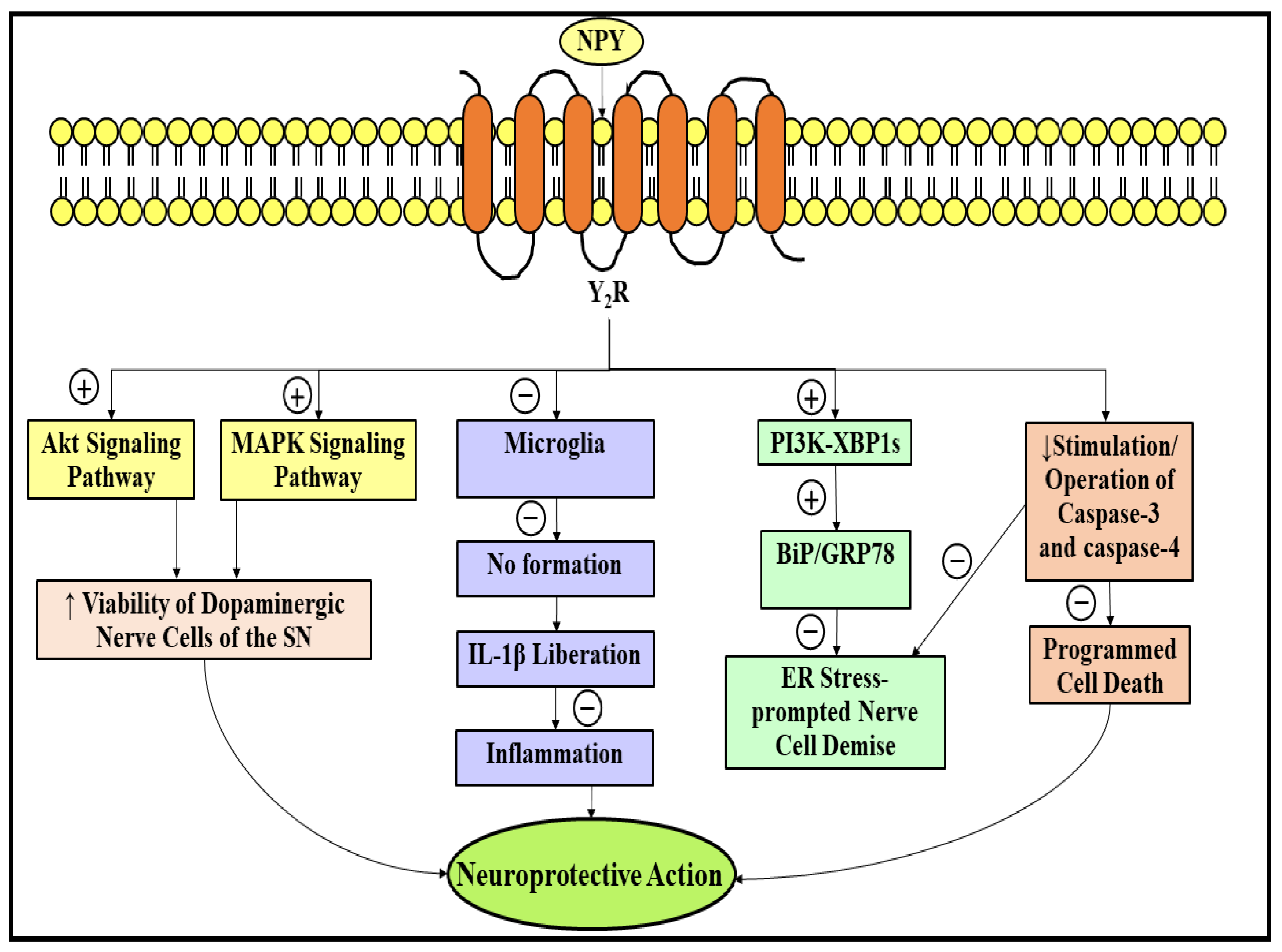 Ijms 23 04565 g006 Ijms 23 04565 g006