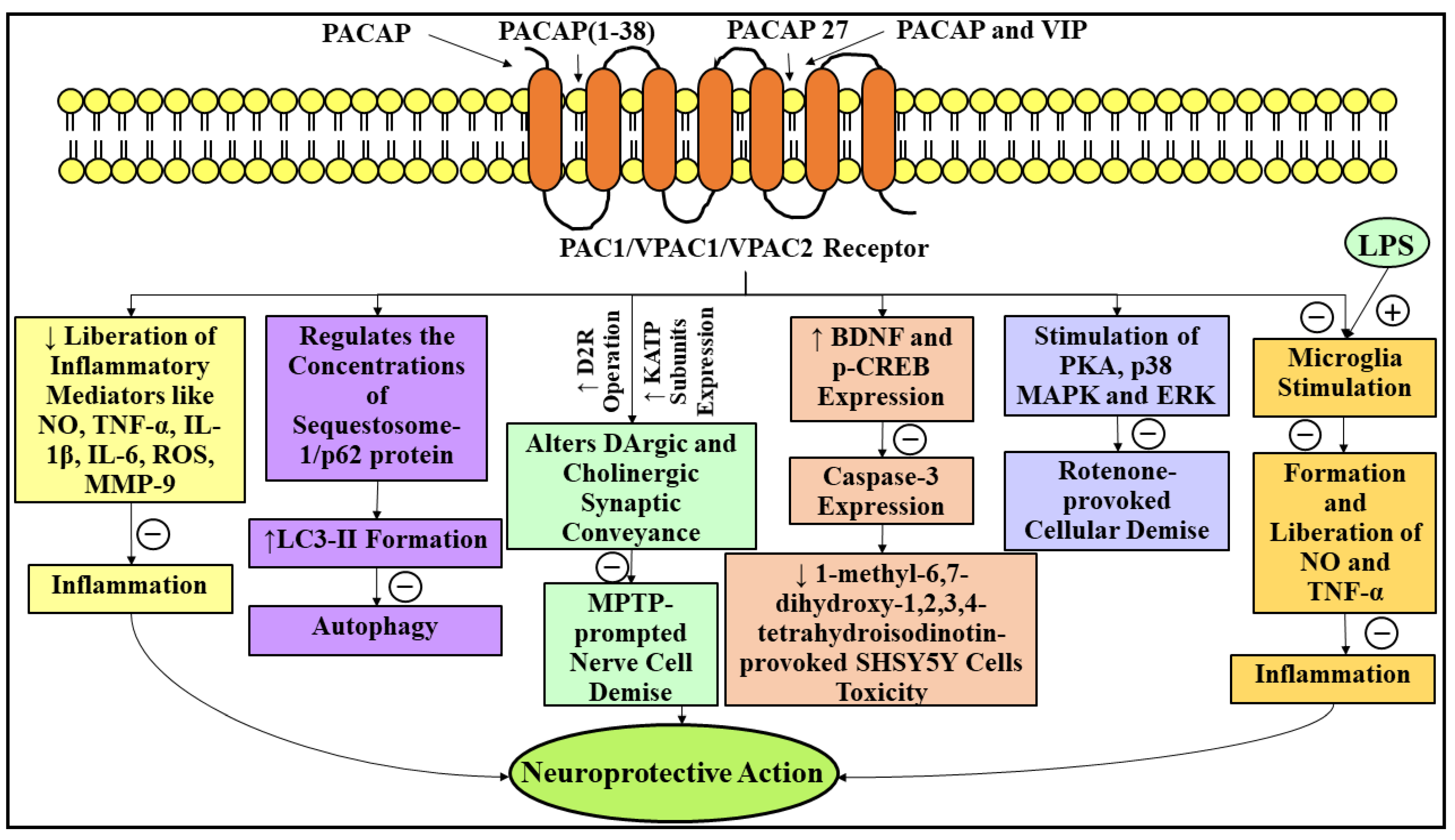 Ijms 23 04565 g007 Ijms 23 04565 g007