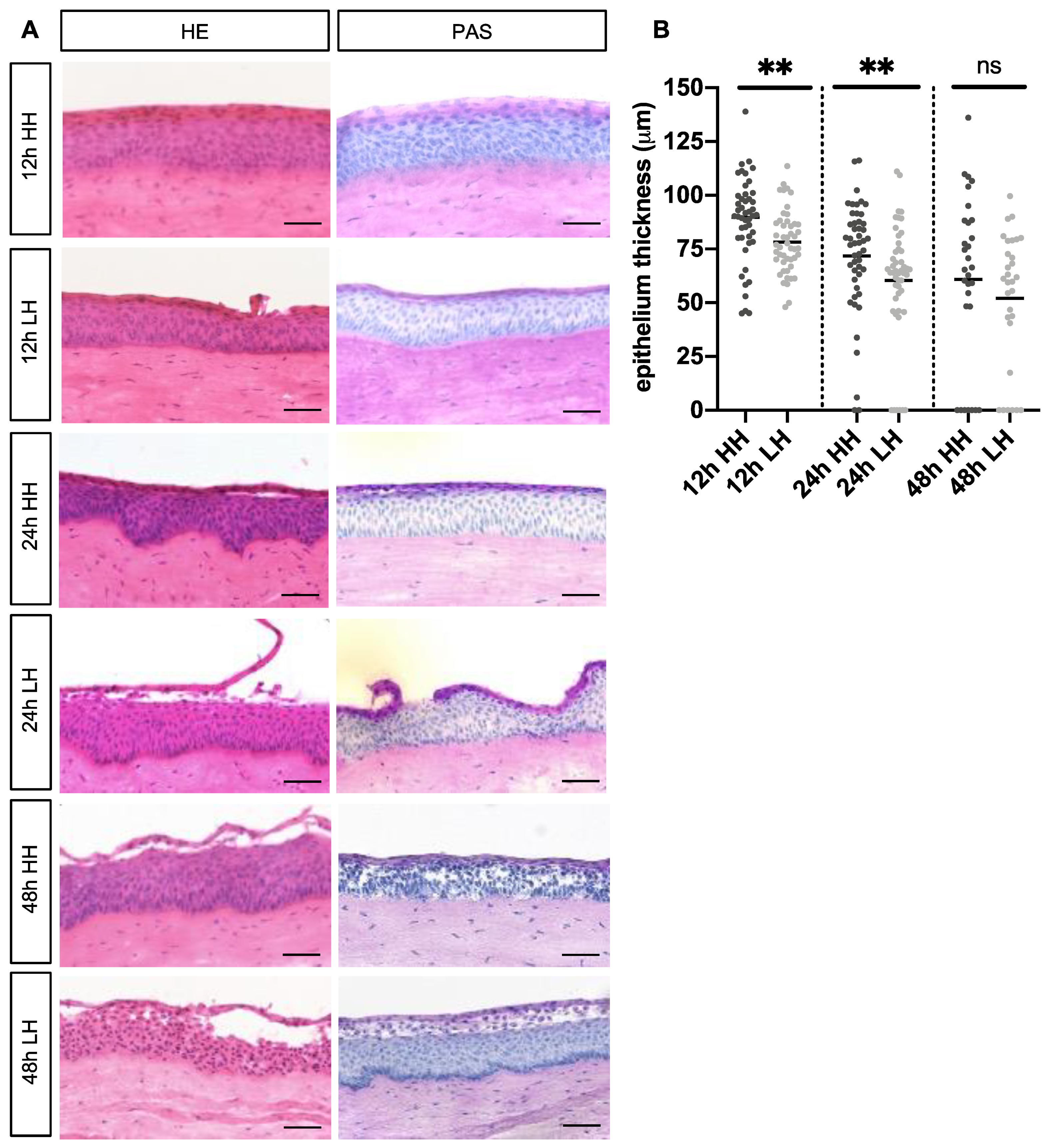 Ijms 23 04567 g001 Ijms 23 04567 g001