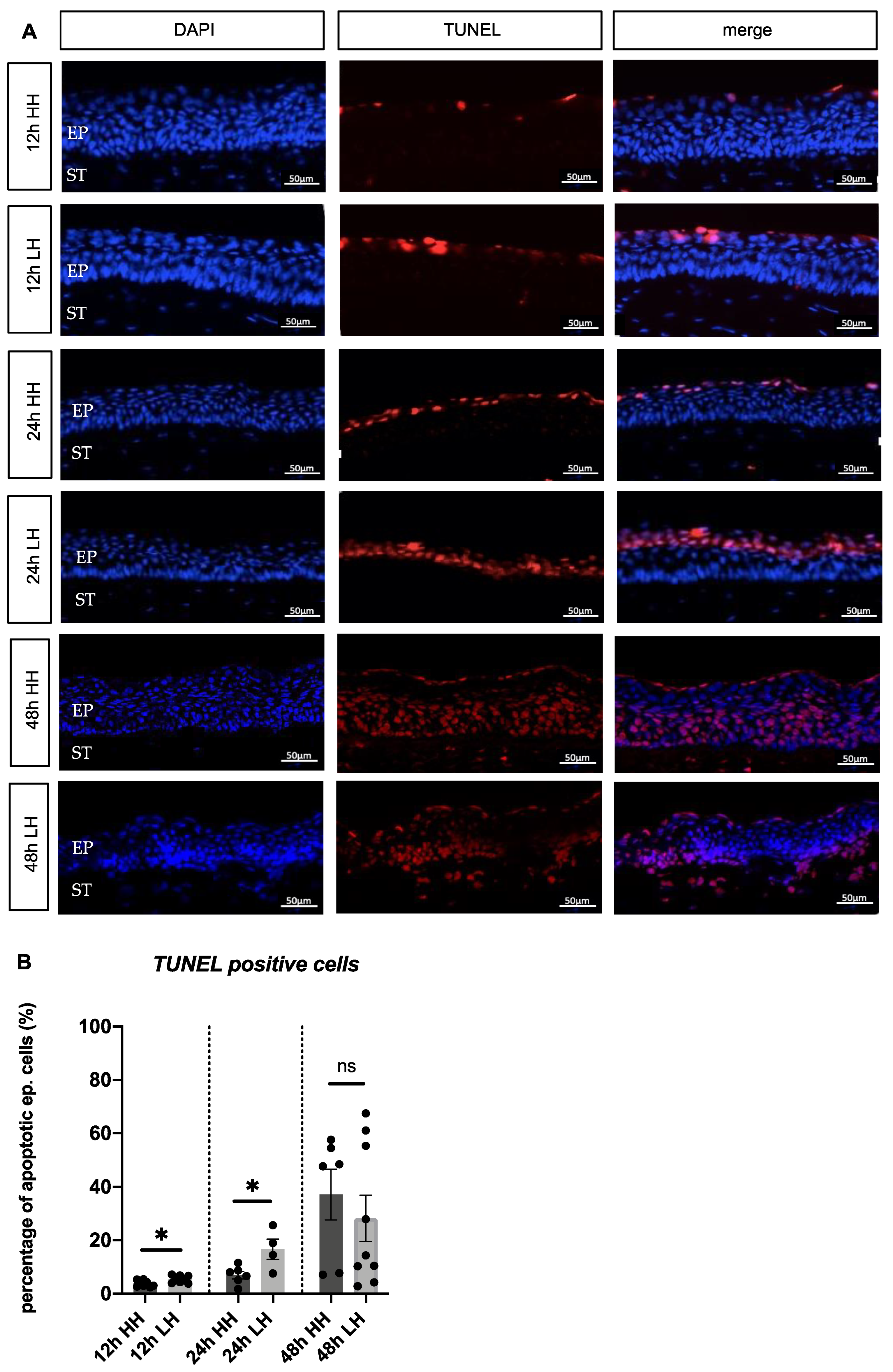 Ijms 23 04567 g004 Ijms 23 04567 g004