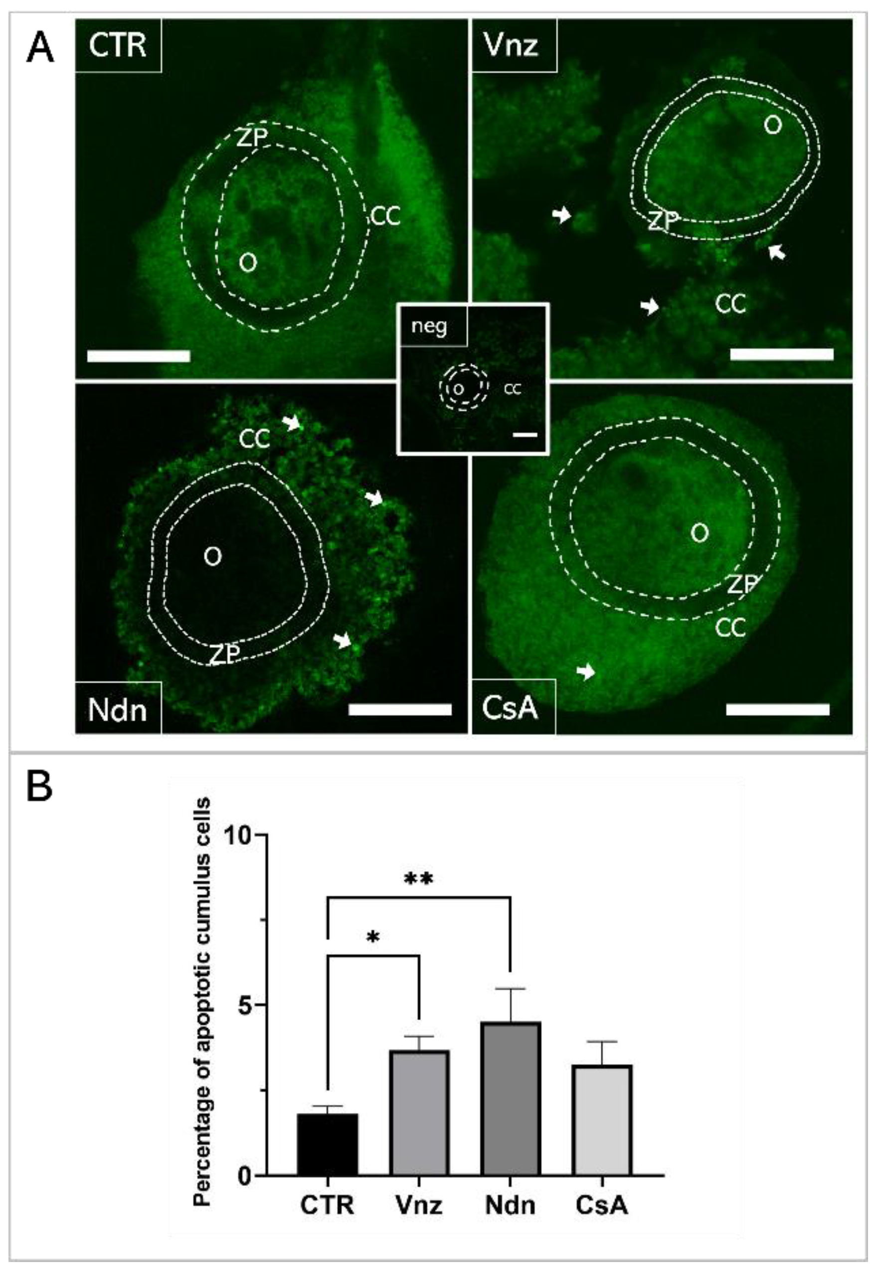 Ijms 23 04572 g001 Ijms 23 04572 g001