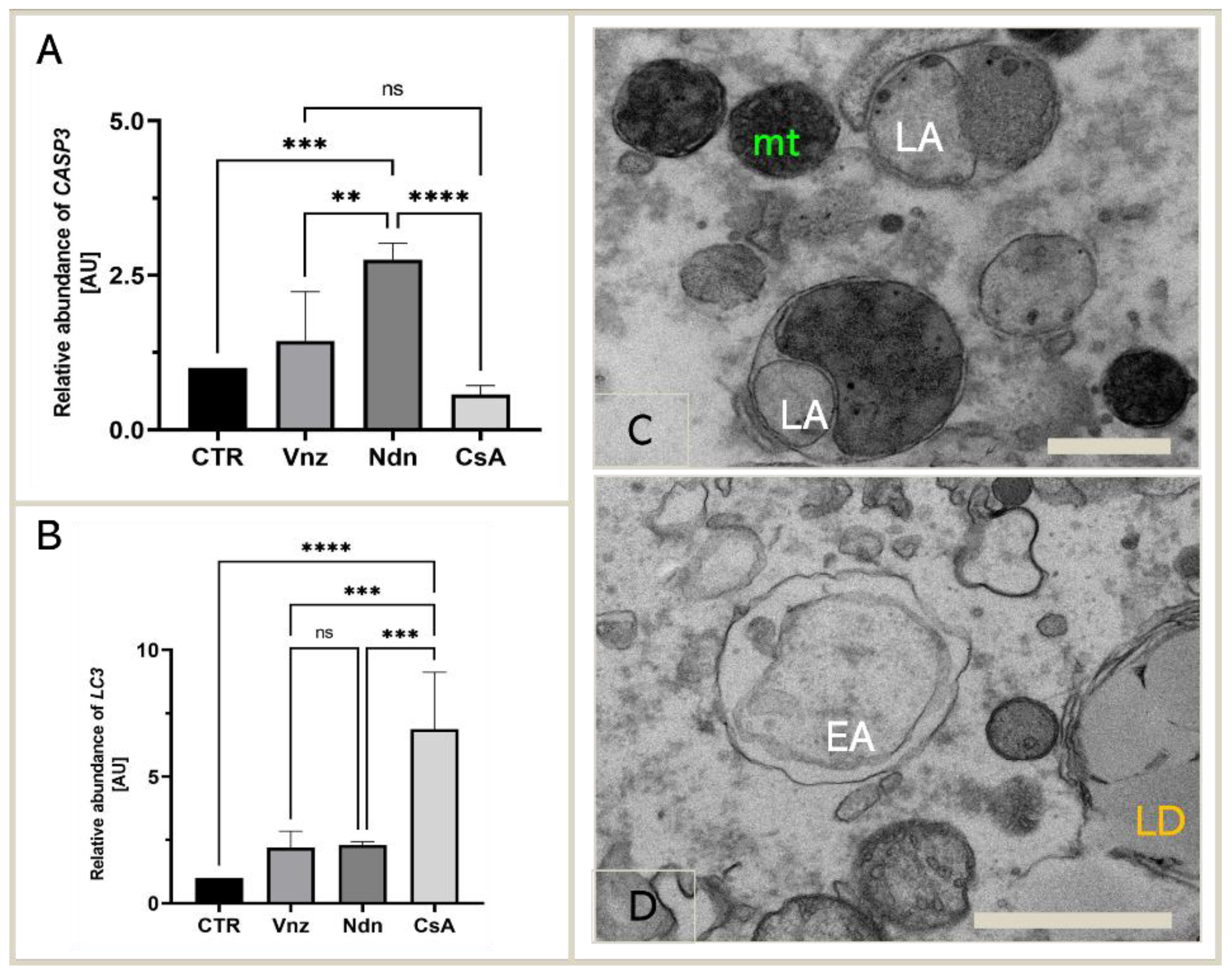 Ijms 23 04572 g004 Ijms 23 04572 g004