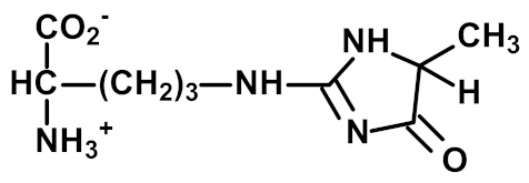 Ijms 23 04584 i002 Ijms 23 04584 i002