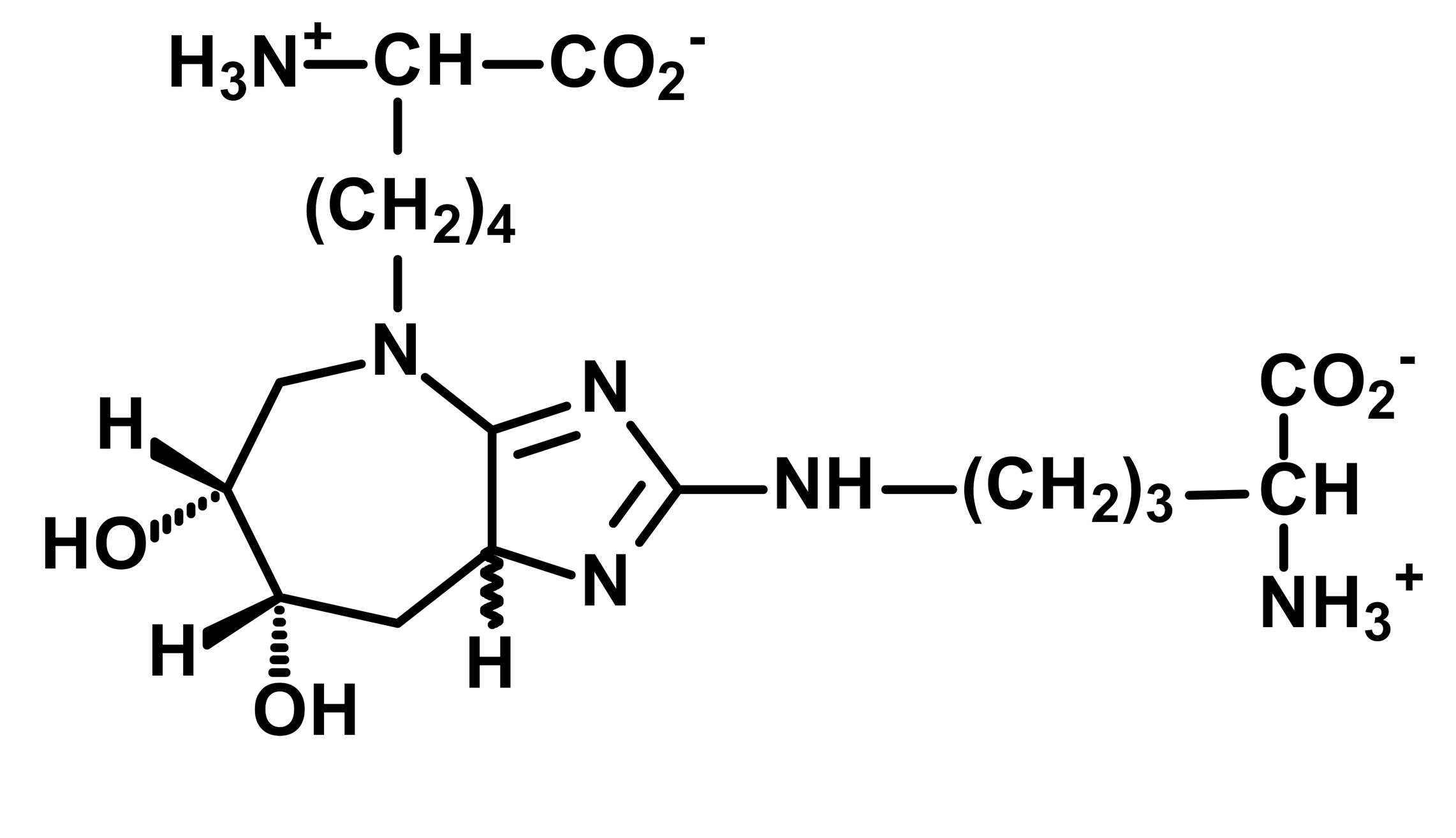 Ijms 23 04584 i004 Ijms 23 04584 i004