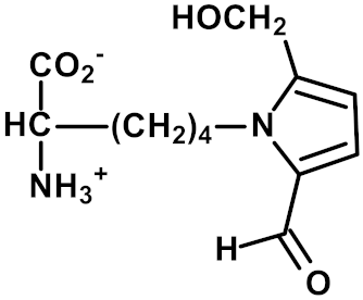 Ijms 23 04584 i006 Ijms 23 04584 i006