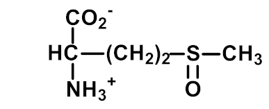 Ijms 23 04584 i007 Ijms 23 04584 i007