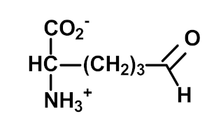 Ijms 23 04584 i008 Ijms 23 04584 i008