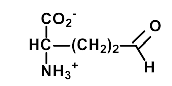 Ijms 23 04584 i009 Ijms 23 04584 i009