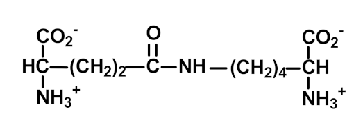 Ijms 23 04584 i014 Ijms 23 04584 i014