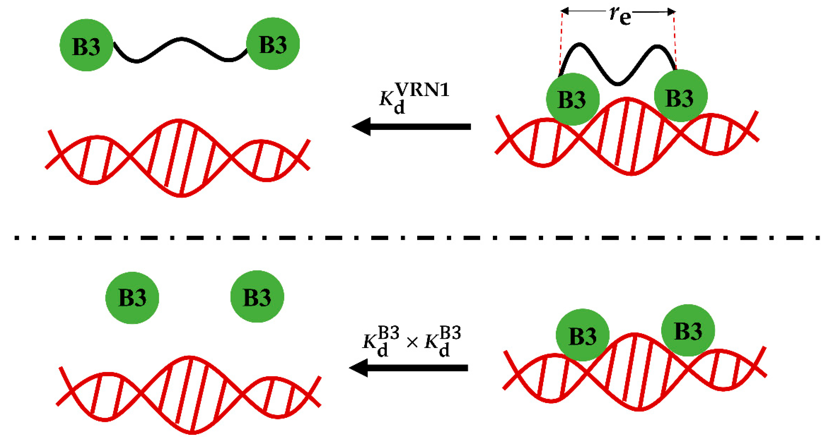 Ijms 23 04594 g001 Ijms 23 04594 g001