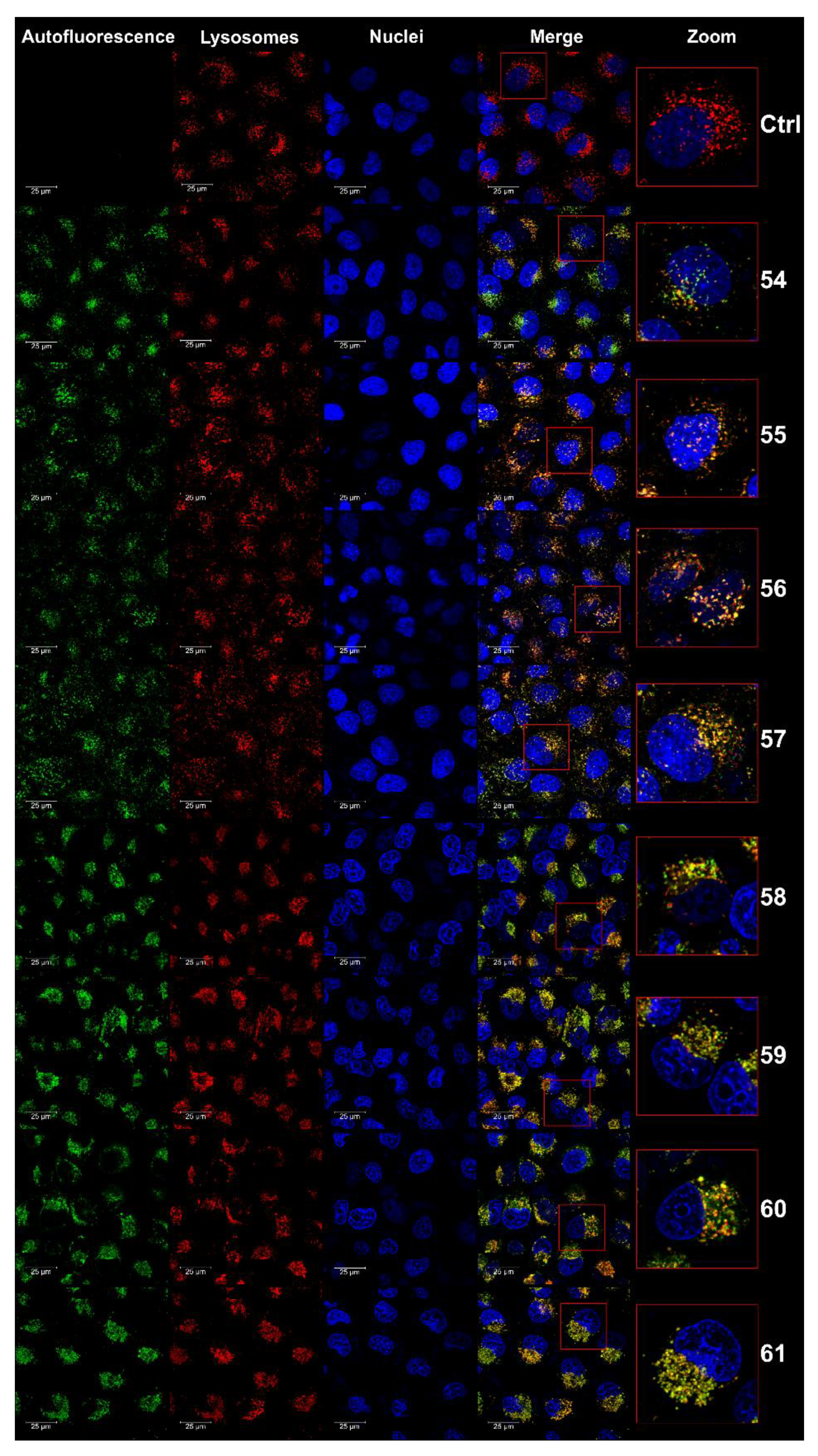 Ijms 23 04598 g007 Ijms 23 04598 g007