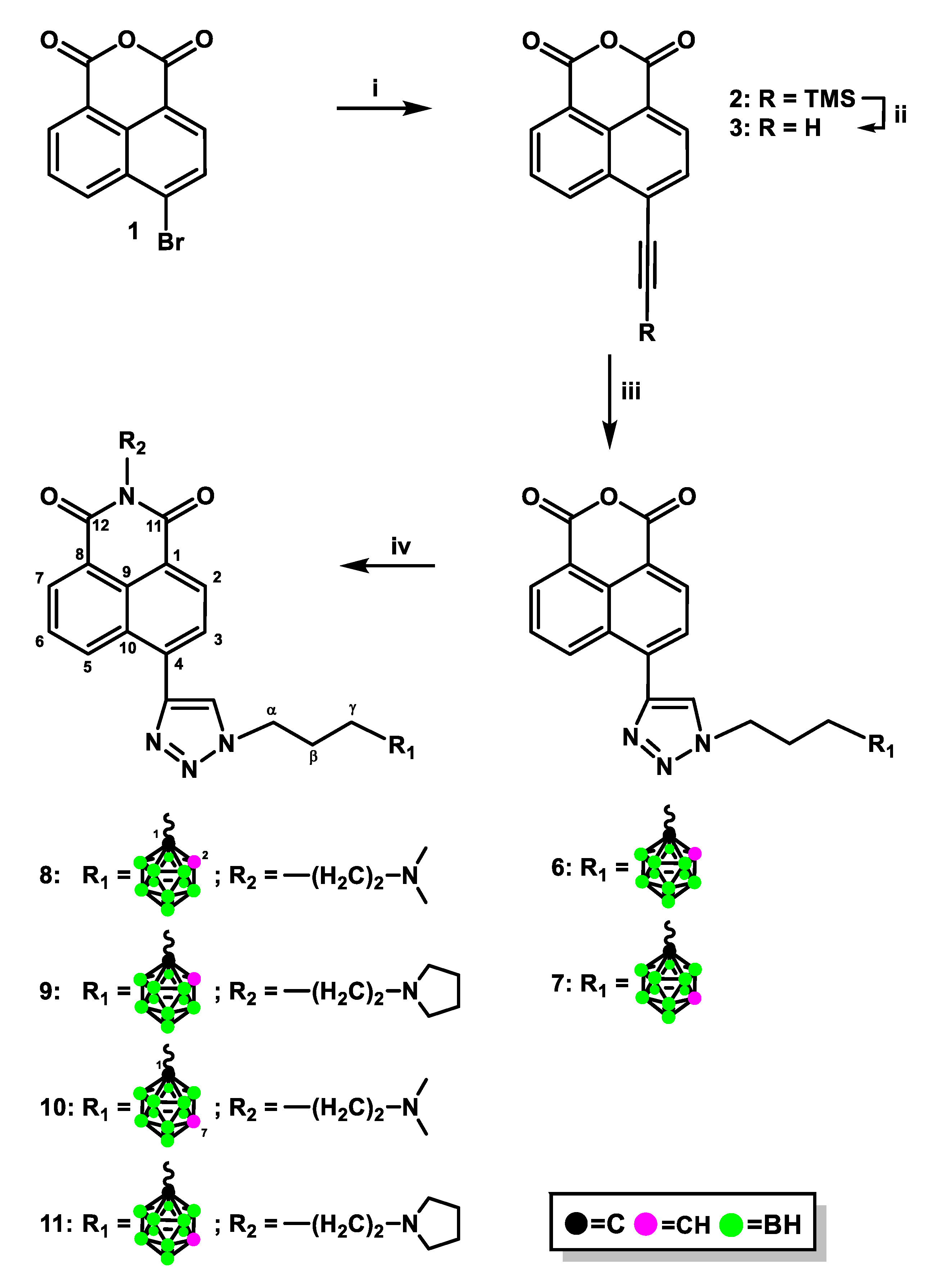 Ijms 23 04598 sch001 Ijms 23 04598 sch001