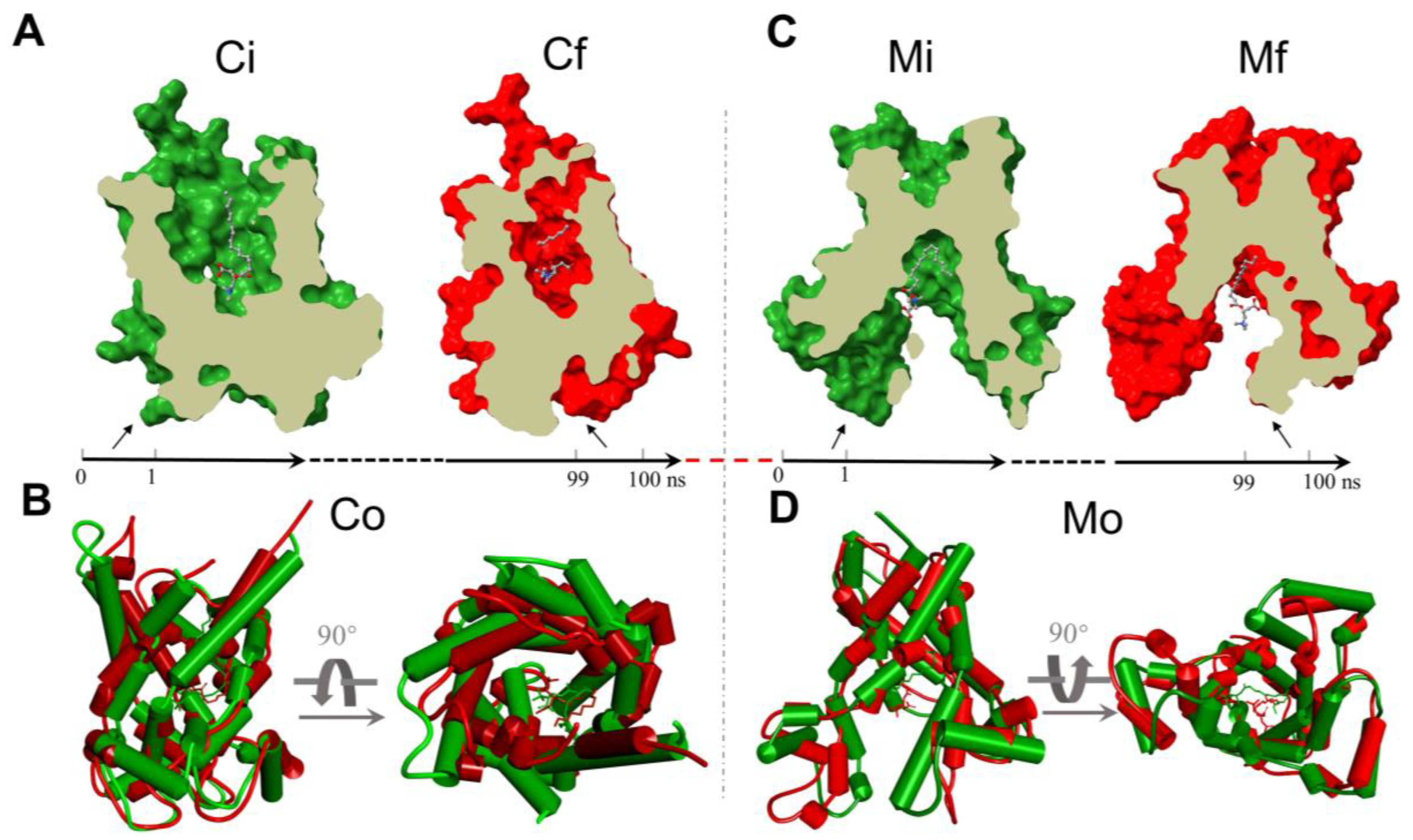 Ijms 23 04608 g004 Ijms 23 04608 g004